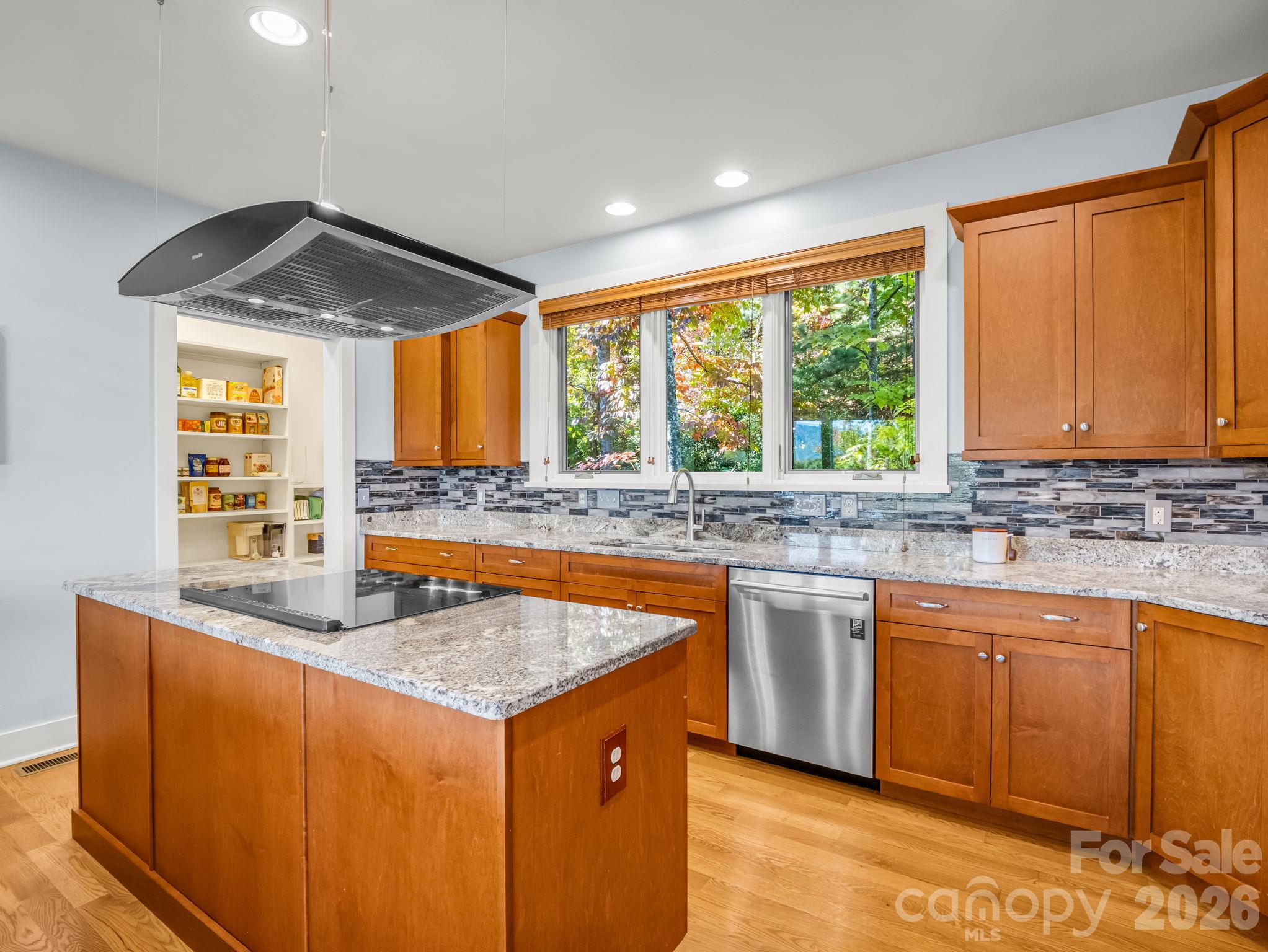 Single Family Residence at 351 Chapel Road, Black Mountain, photo 20 of 81