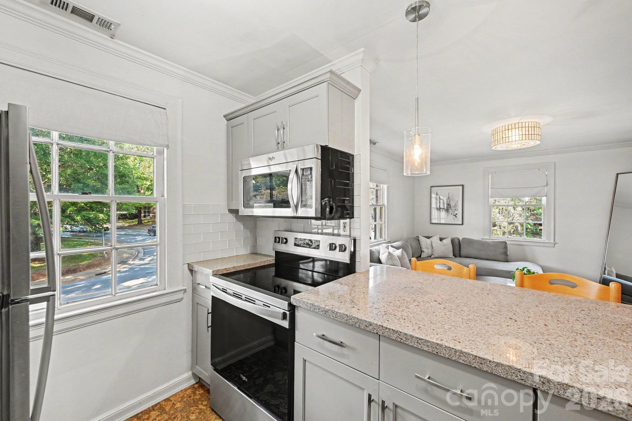 Condominium at 101 S Laurel Avenue, Charlotte, photo 10 of 23