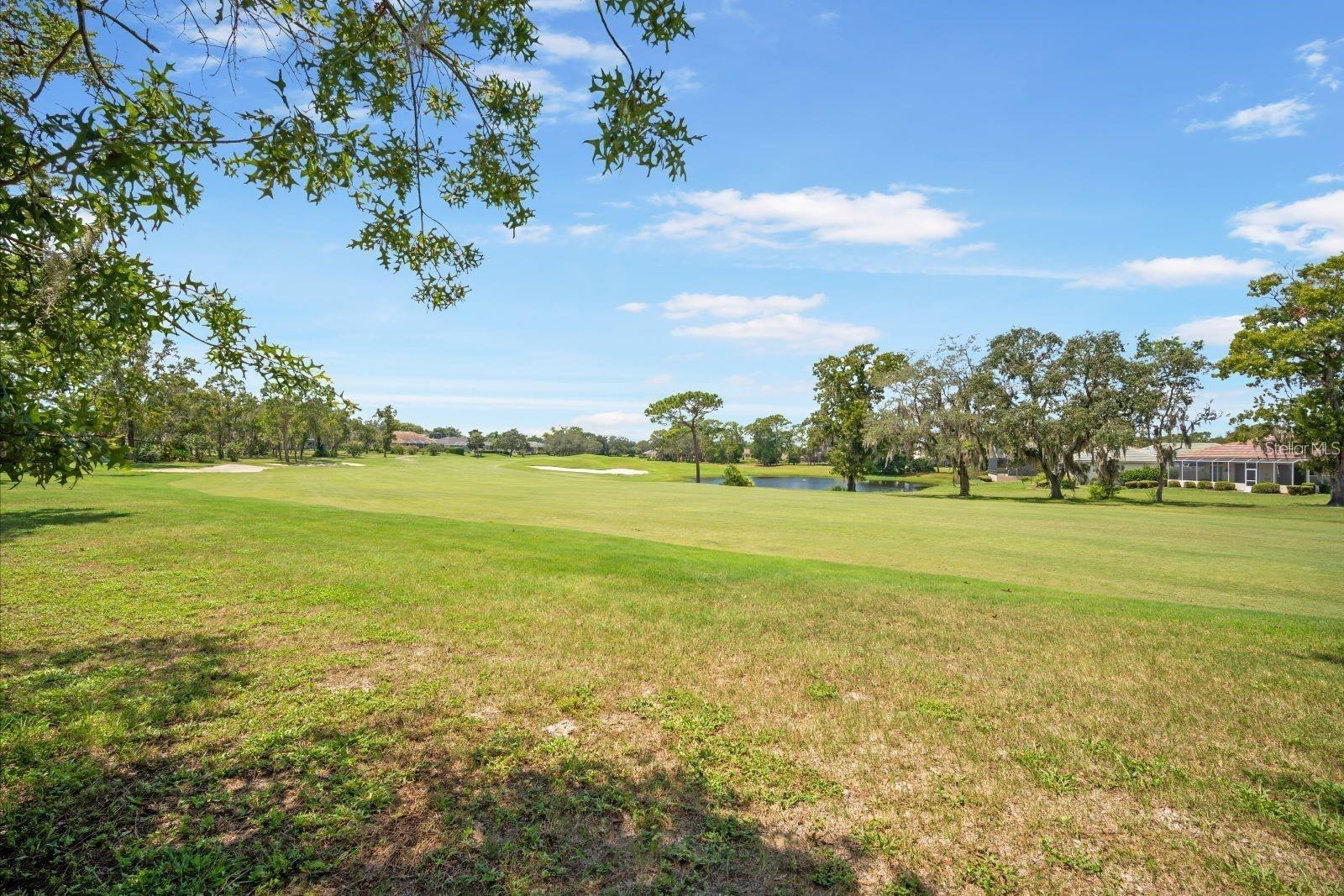 Single Family Residence at 9005 PLAYERS, WEEKI WACHEE, photo 35 of 36