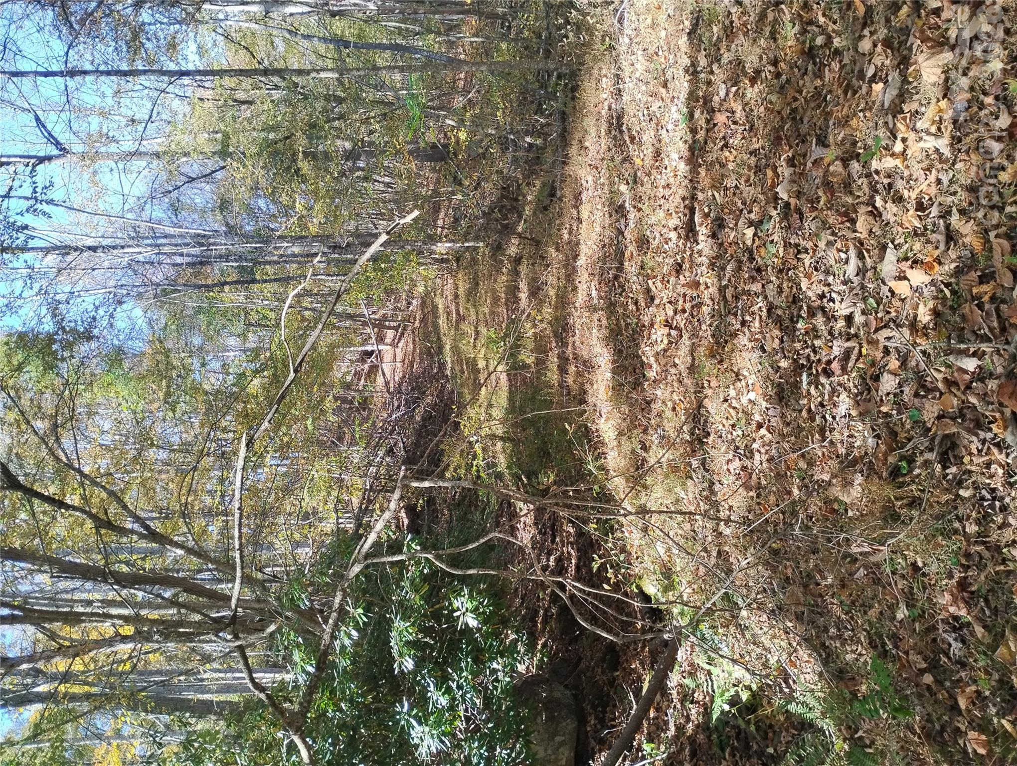 Acreage at 000 Dora Lane, Bakersville, photo 5 of 6
