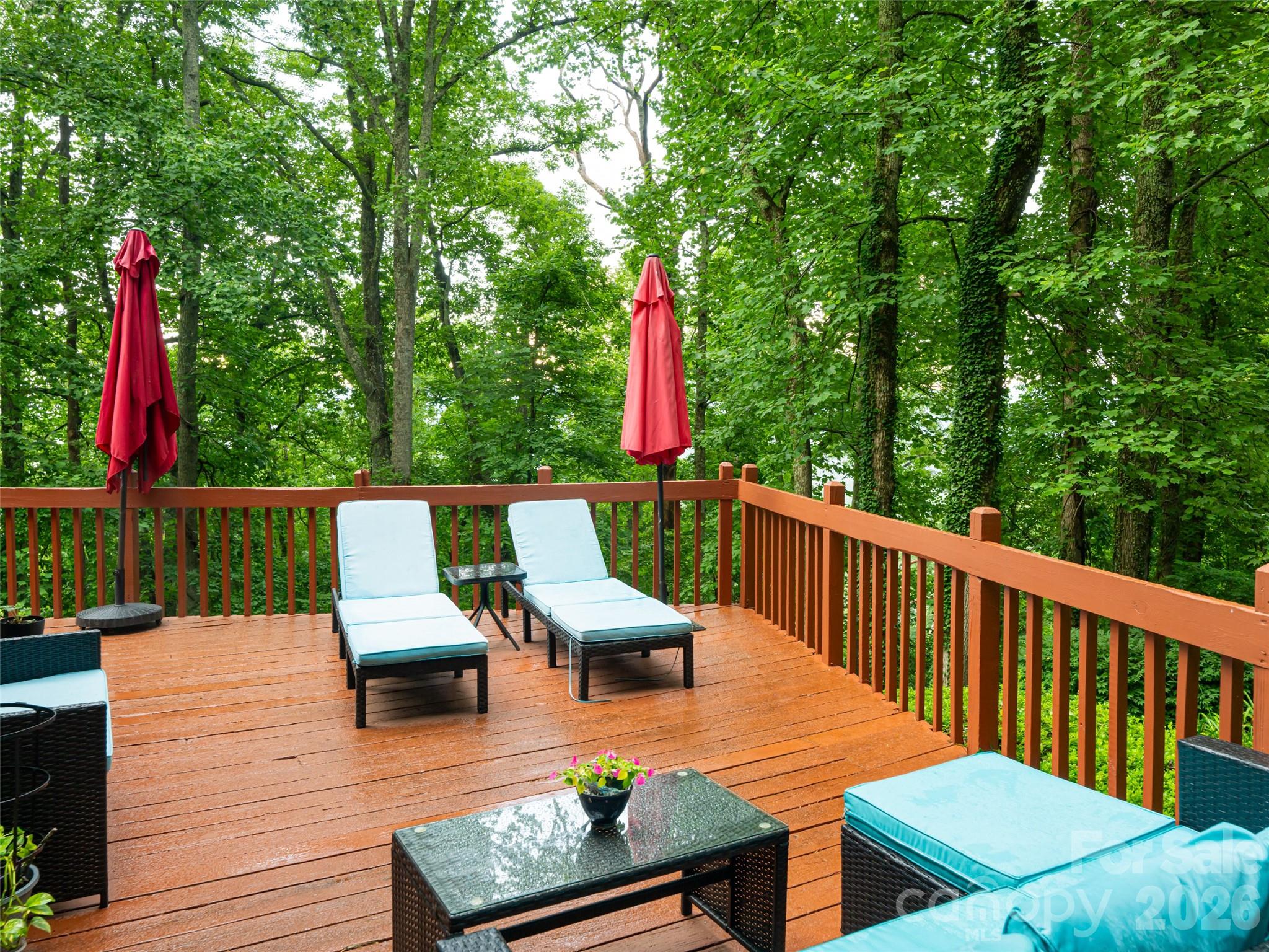Single Family Residence at 193 Rhododendron Drive, Arden, photo 42 of 50