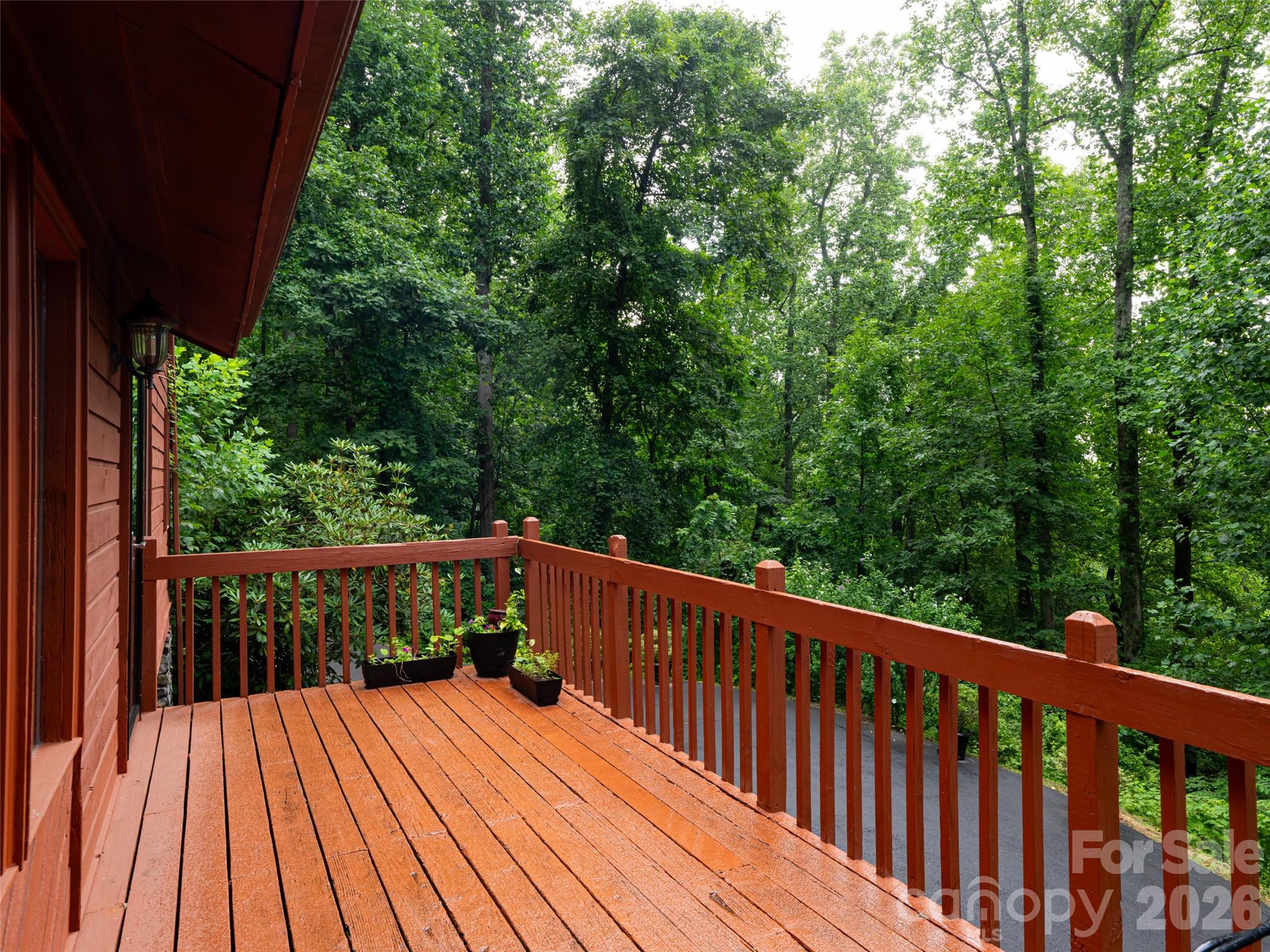 Single Family Residence at 193 Rhododendron Drive, Arden, photo 46 of 50