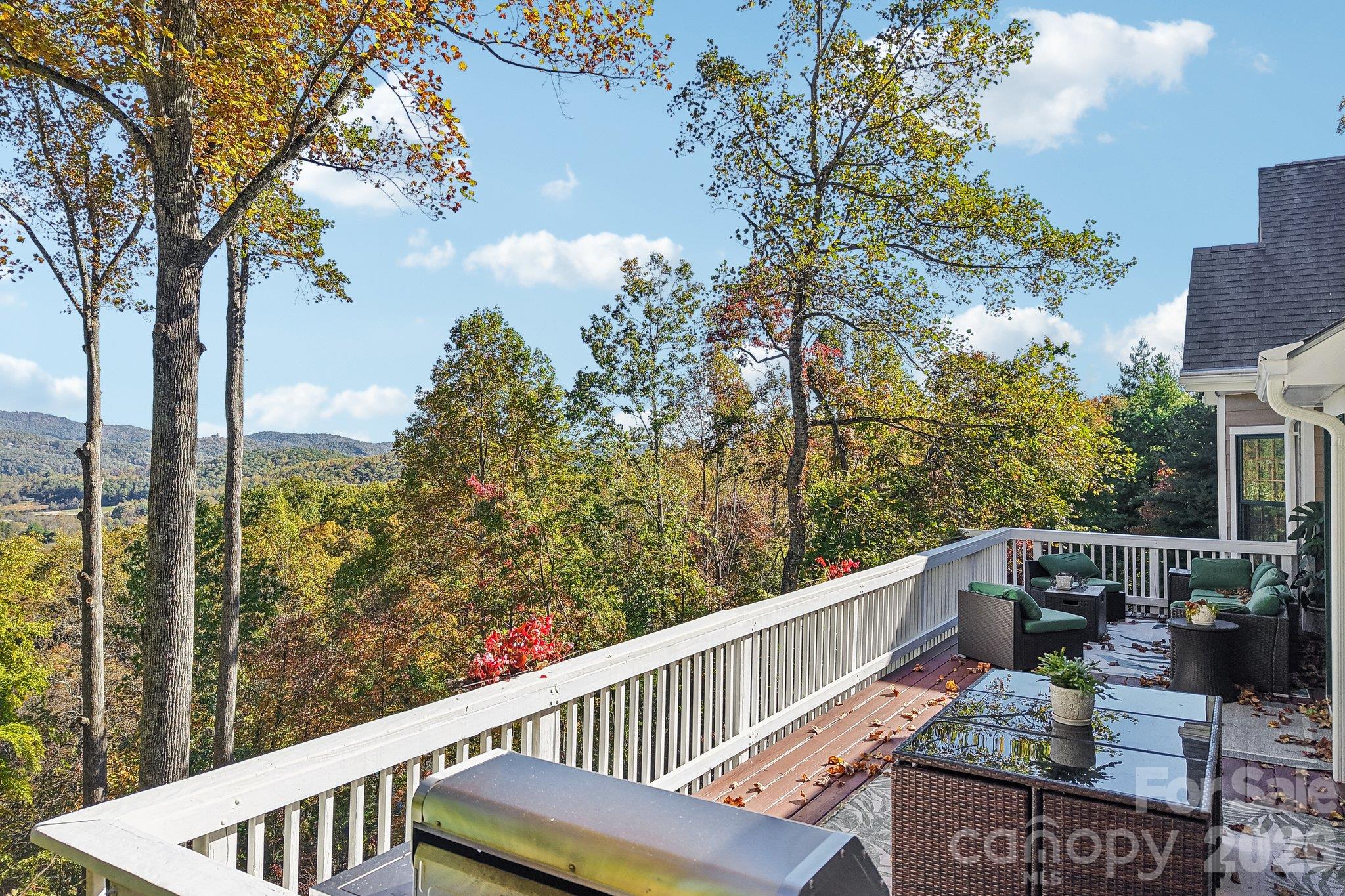 More views and space to entertain. Also, to enjoy the Fall colors. - 16 Hobe Crest, Hendersonville