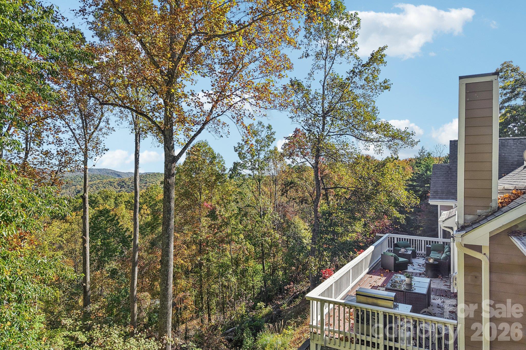 Back of the home and deck. - 16 Hobe Crest, Hendersonville