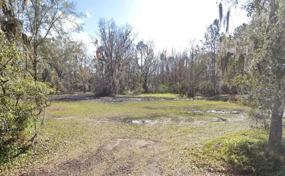 Land at NW 223RD ST, LAWTEY, photo 6 of 6