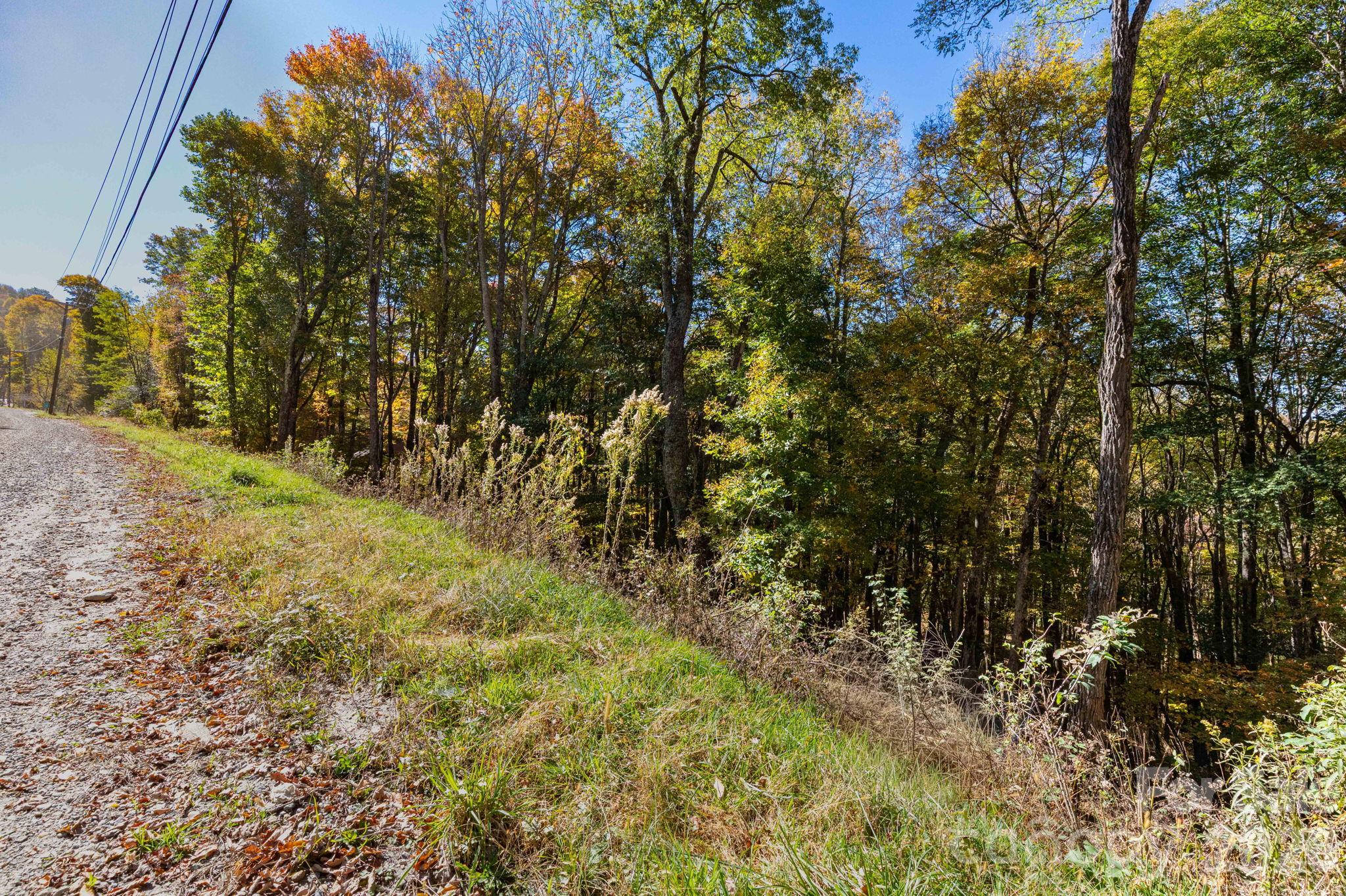 Lot at 000 El Miner Drive, Mars Hill, photo 3 of 24