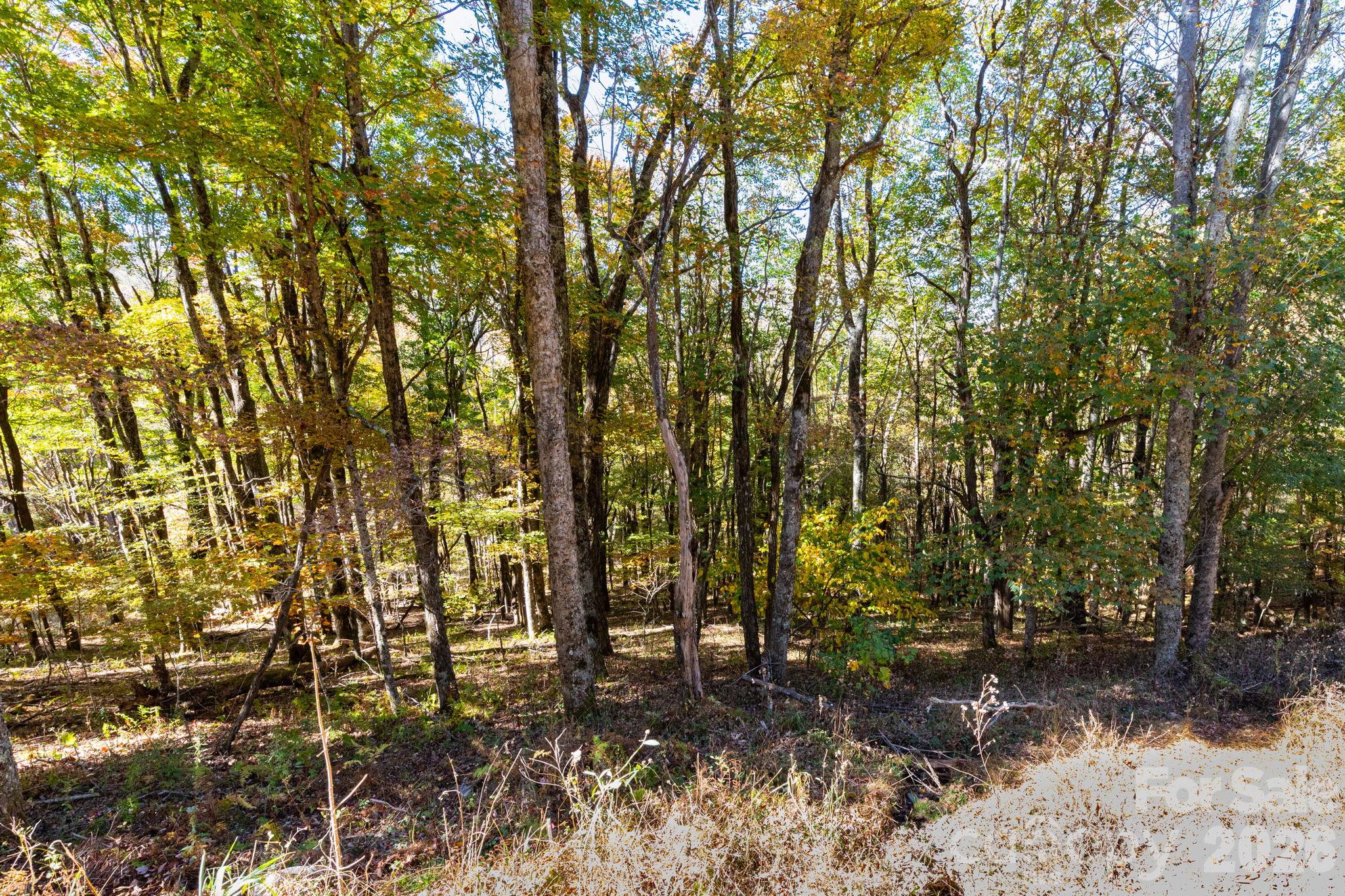 Lot at 000 El Miner Drive, Mars Hill, photo 4 of 24