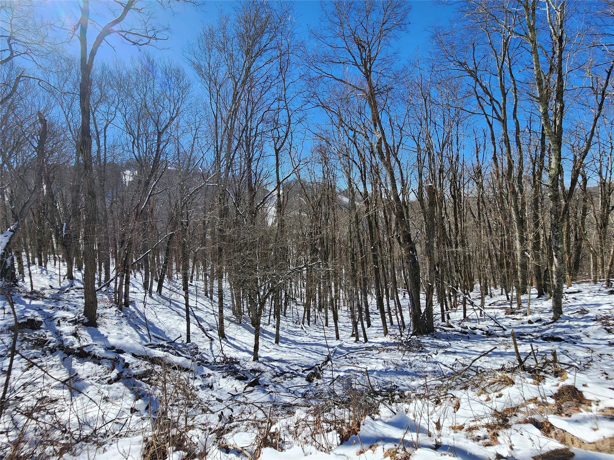 Winter Photo at Wolf Laurel - 000 El Miner Drive, Mars Hill