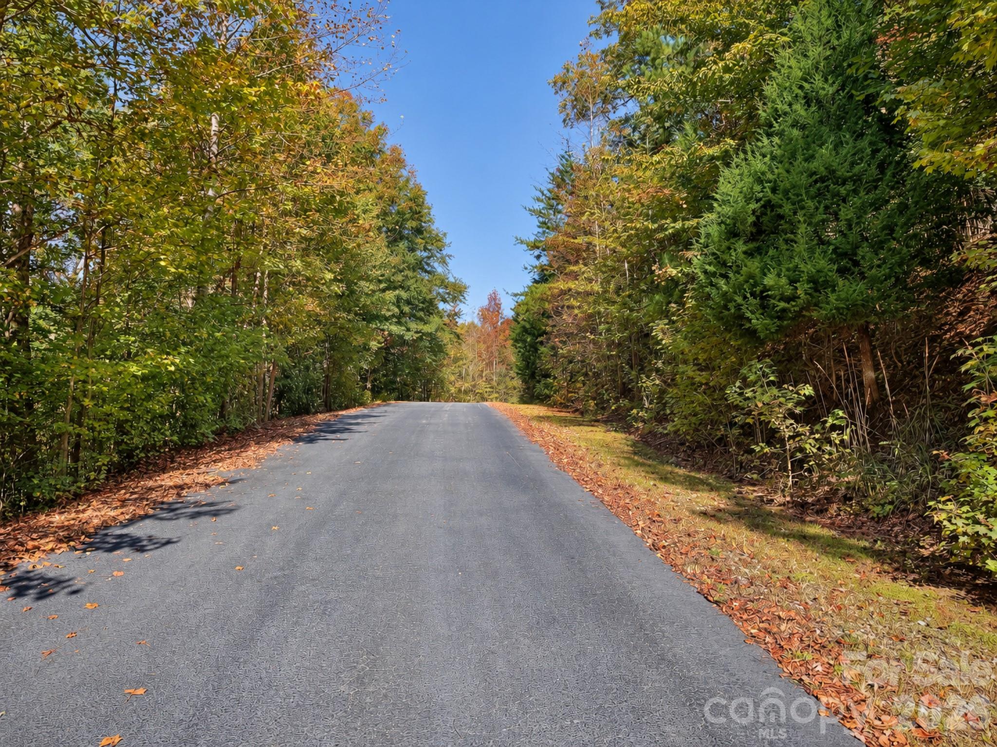 Lot at 346 FRONT RIDGE Circle, Rutherfordton, photo 10 of 15