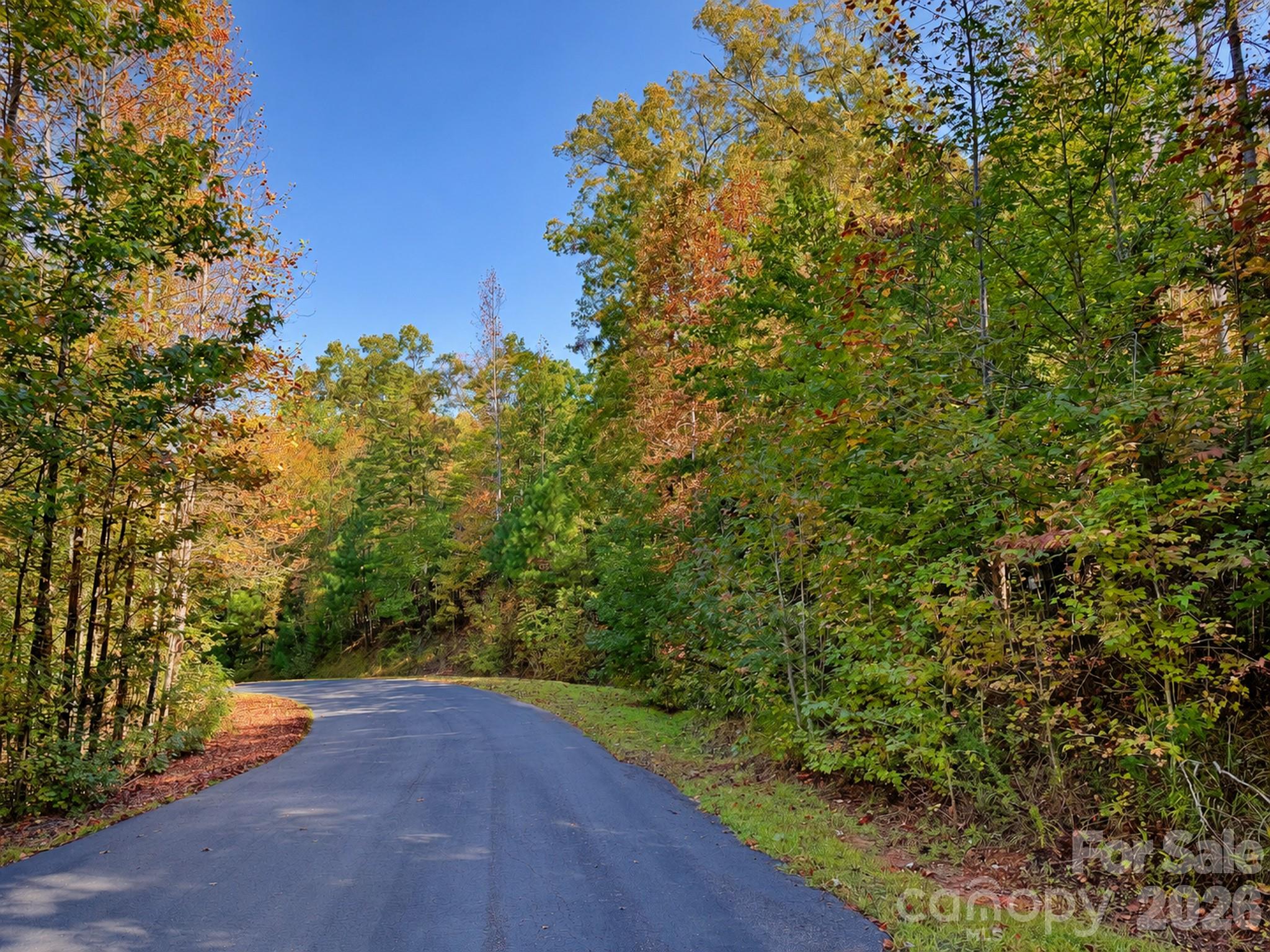 Lot at 346 FRONT RIDGE Circle, Rutherfordton, photo 11 of 15