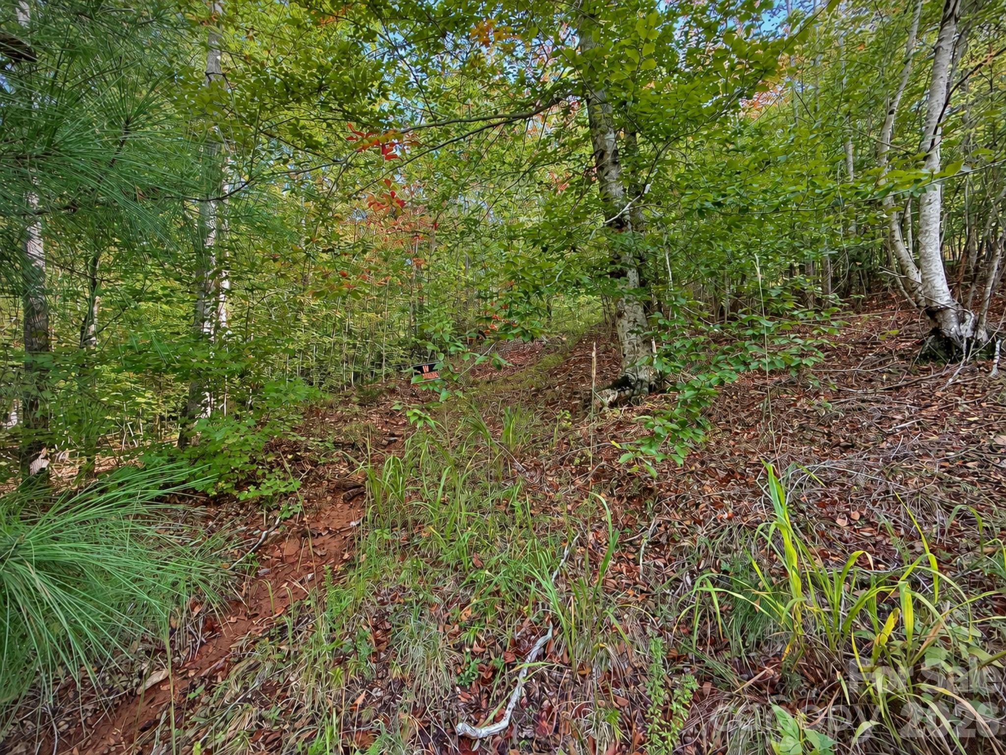 Lot at 346 FRONT RIDGE Circle, Rutherfordton, photo 12 of 15