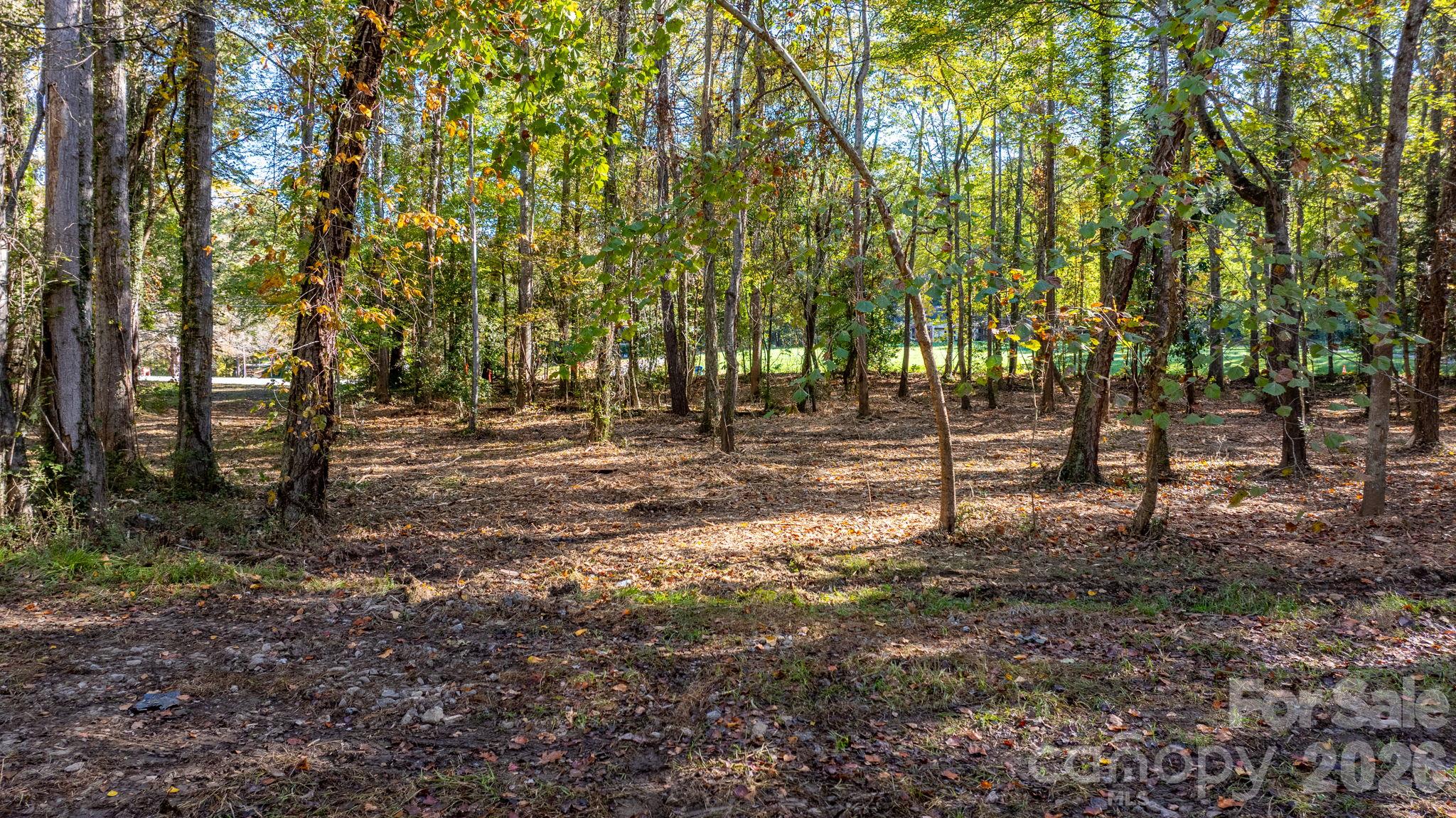 Acreage at 00 6th Street NW, Hickory, photo 4 of 38