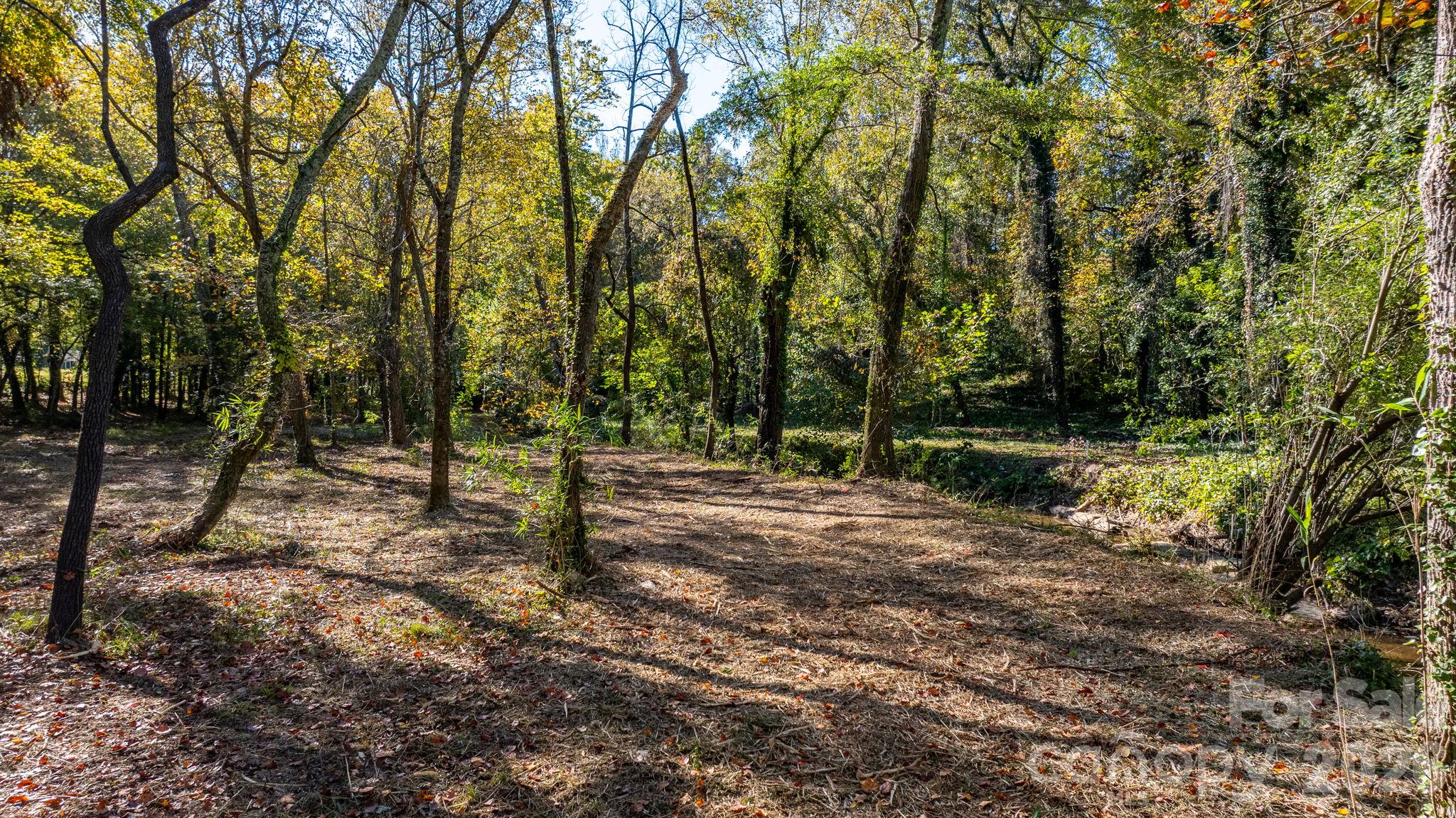 Acreage at 00 6th Street NW, Hickory, photo 8 of 38