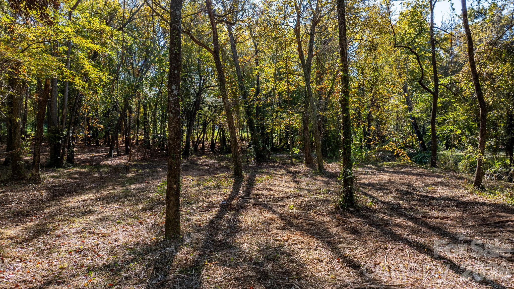 Acreage at 00 6th Street NW, Hickory, photo 10 of 38