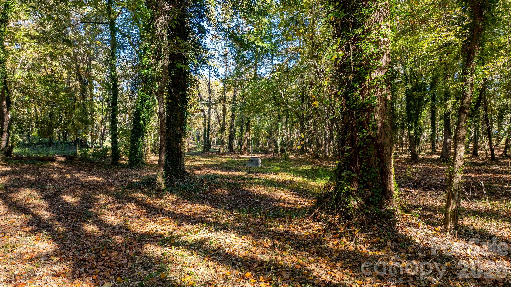 Acreage at 00 6th Street NW, Hickory, photo 16 of 38