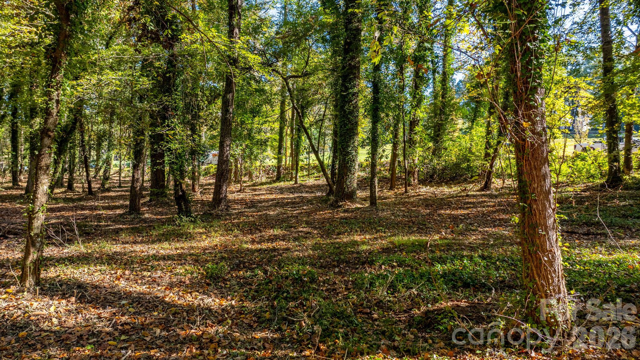 Acreage at 00 6th Street NW, Hickory, photo 17 of 38
