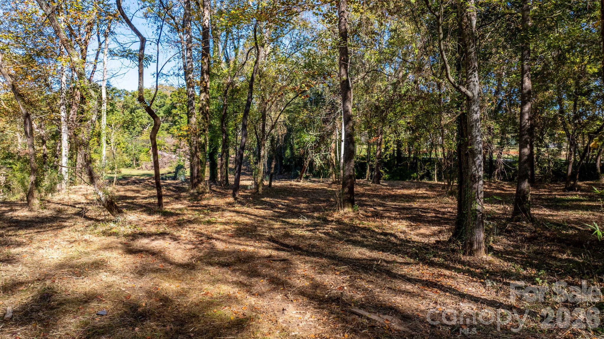 Acreage at 00 6th Street NW, Hickory, photo 22 of 38
