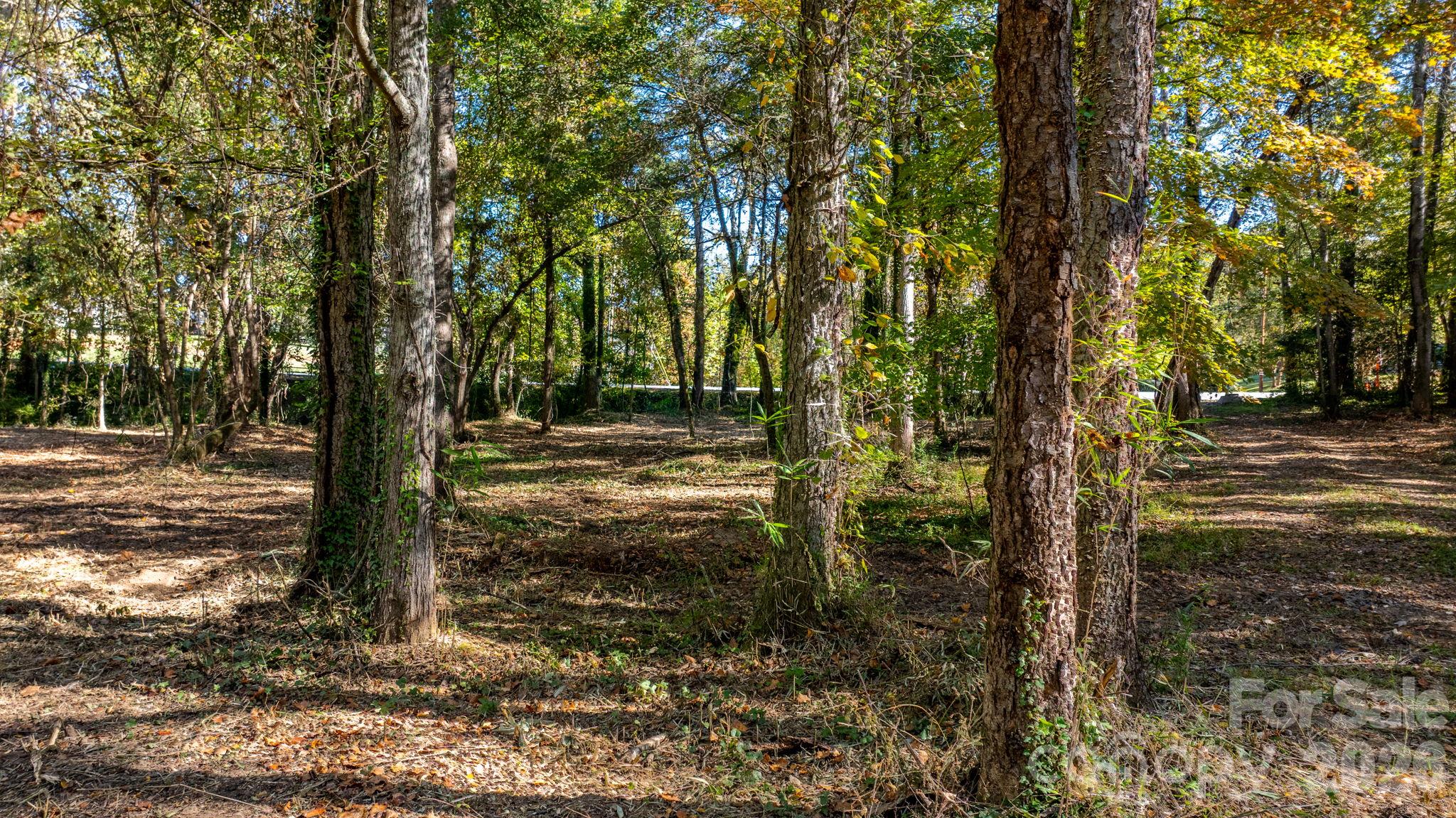Acreage at 00 6th Street NW, Hickory, photo 23 of 38