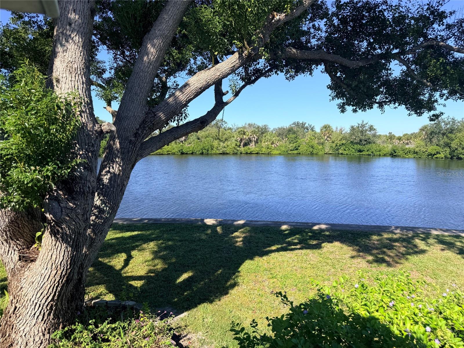 View - 182 N SAINT THOMAS CIR, APOLLO BEACH