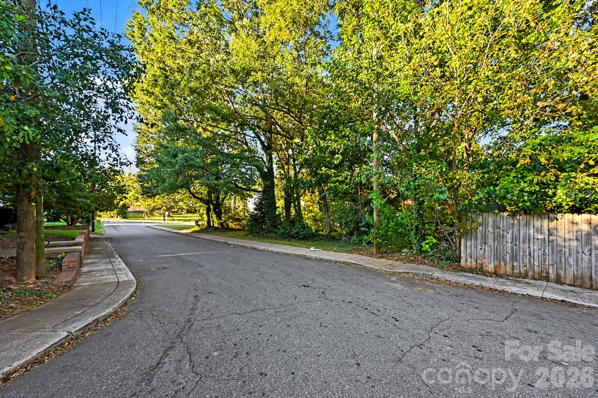 Lot at 215 Solomon Street, Charlotte, photo 2 of 19