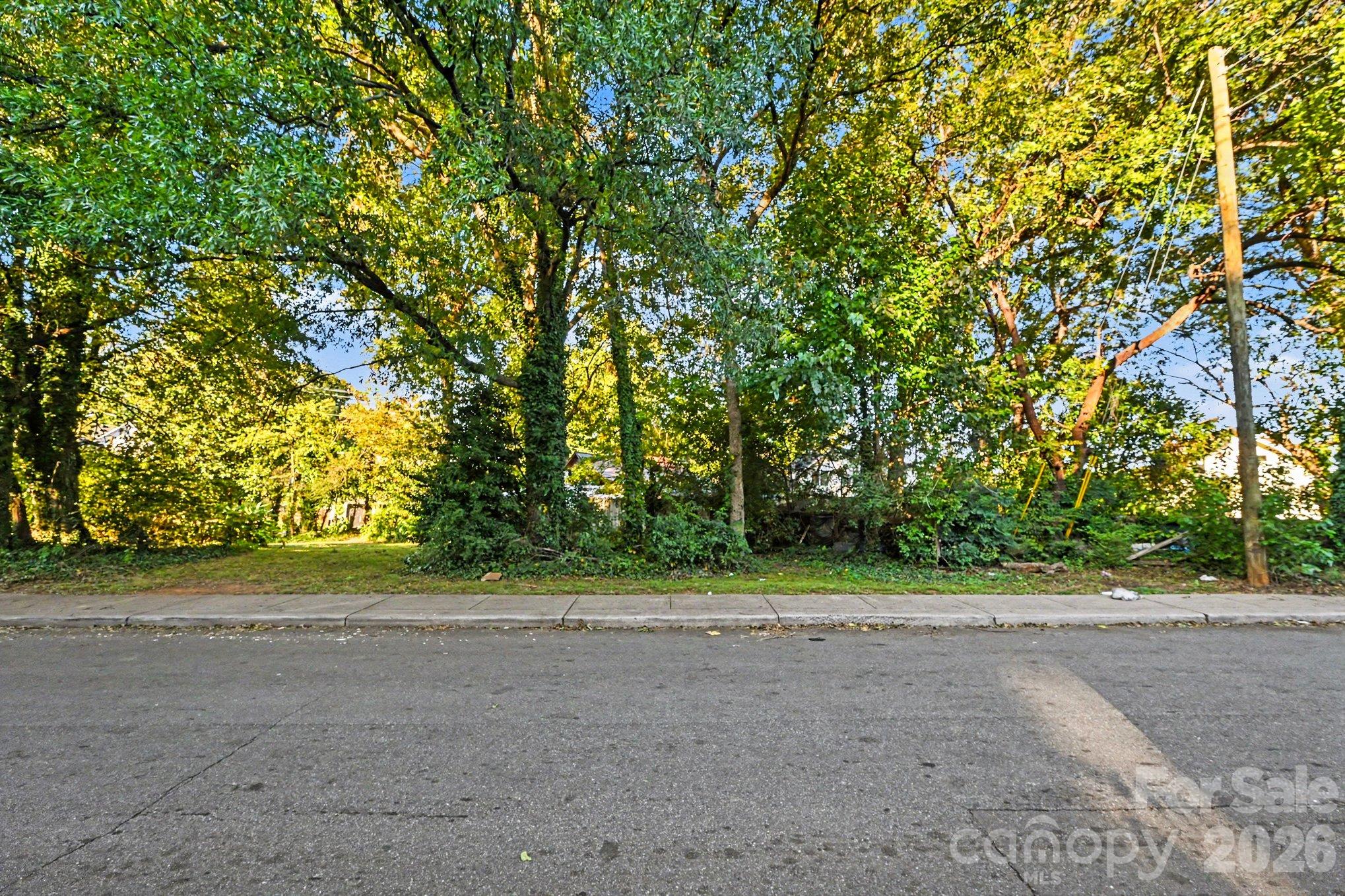 Lot at 215 Solomon Street, Charlotte, photo 3 of 19