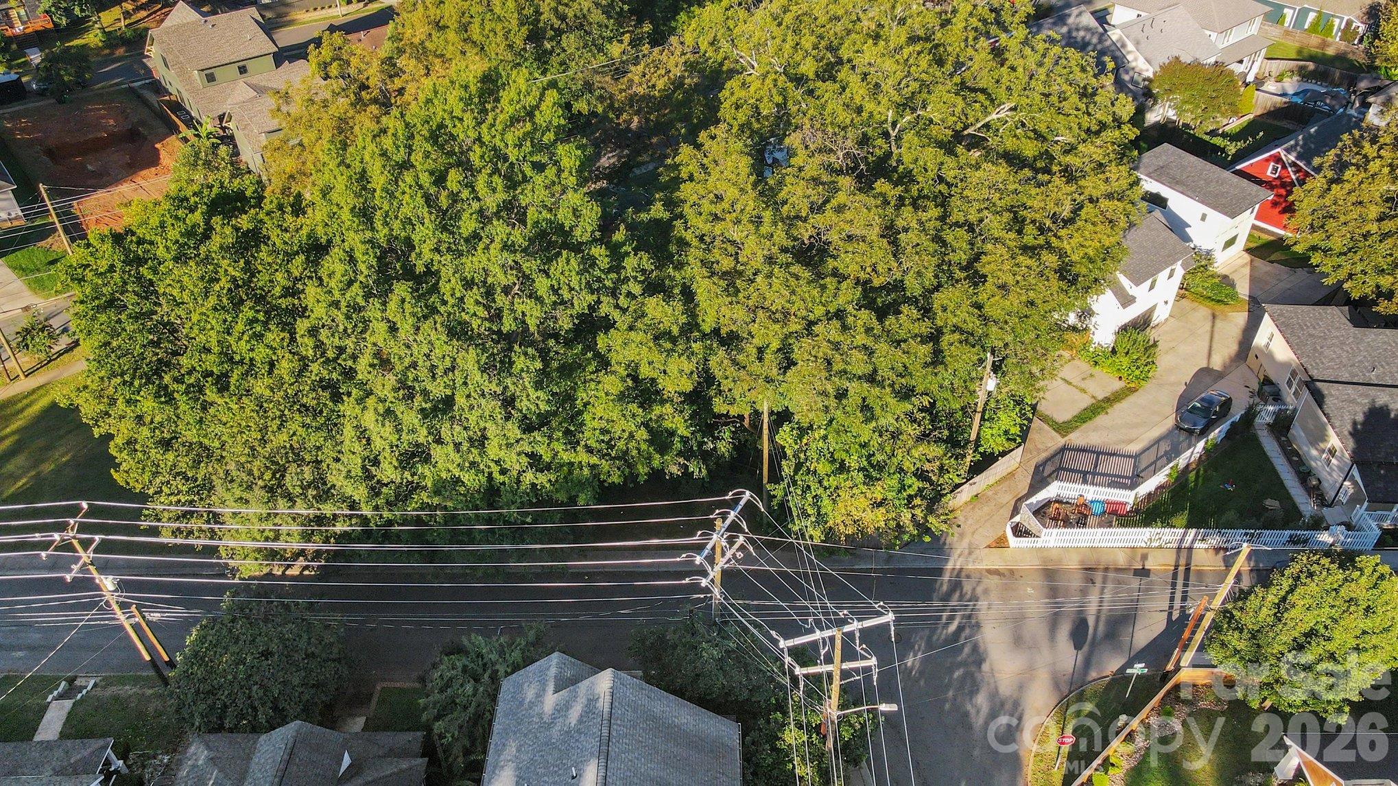 Lot at 215 Solomon Street, Charlotte, photo 5 of 19