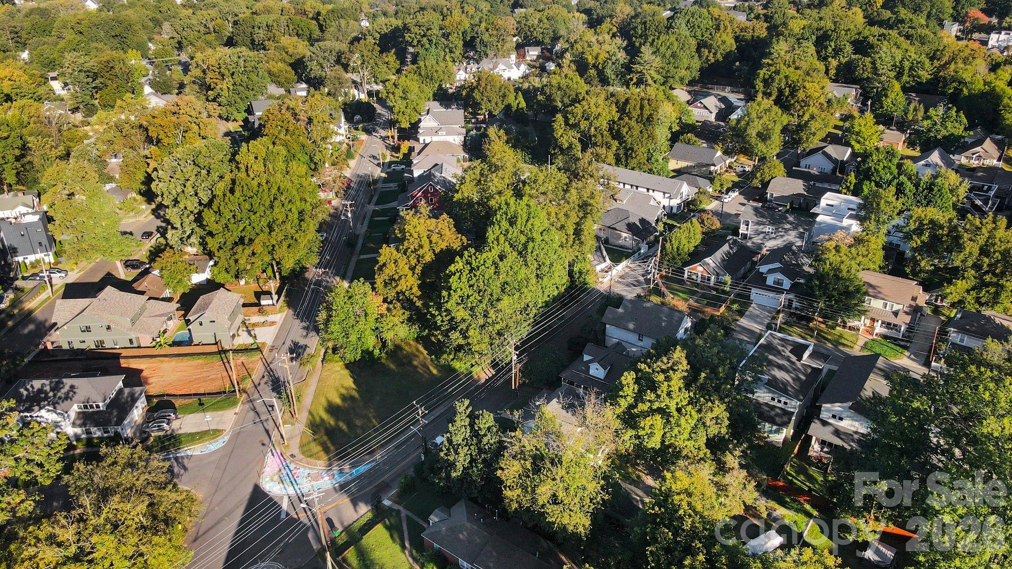 Lot at 215 Solomon Street, Charlotte, photo 8 of 19