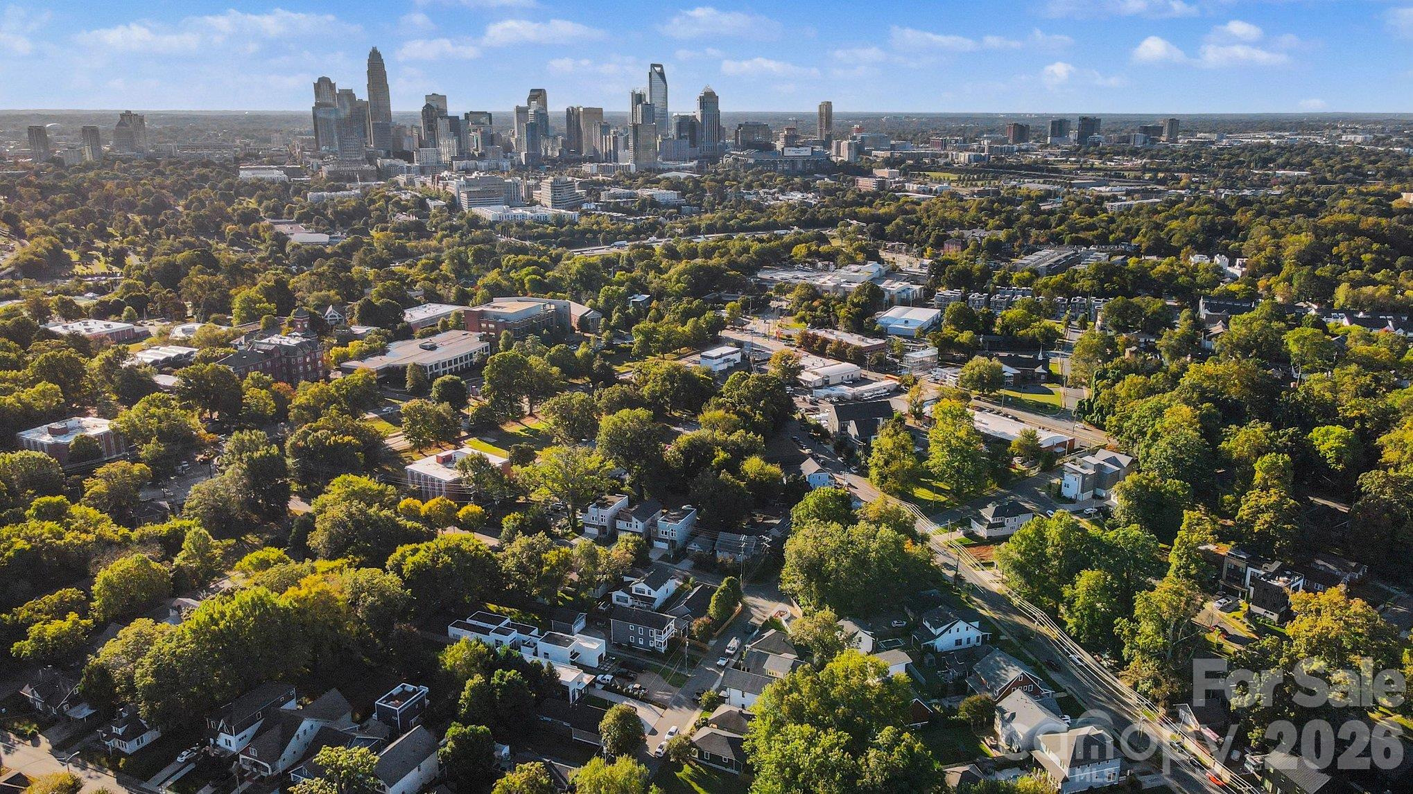 Lot at 215 Solomon Street, Charlotte, photo 12 of 19