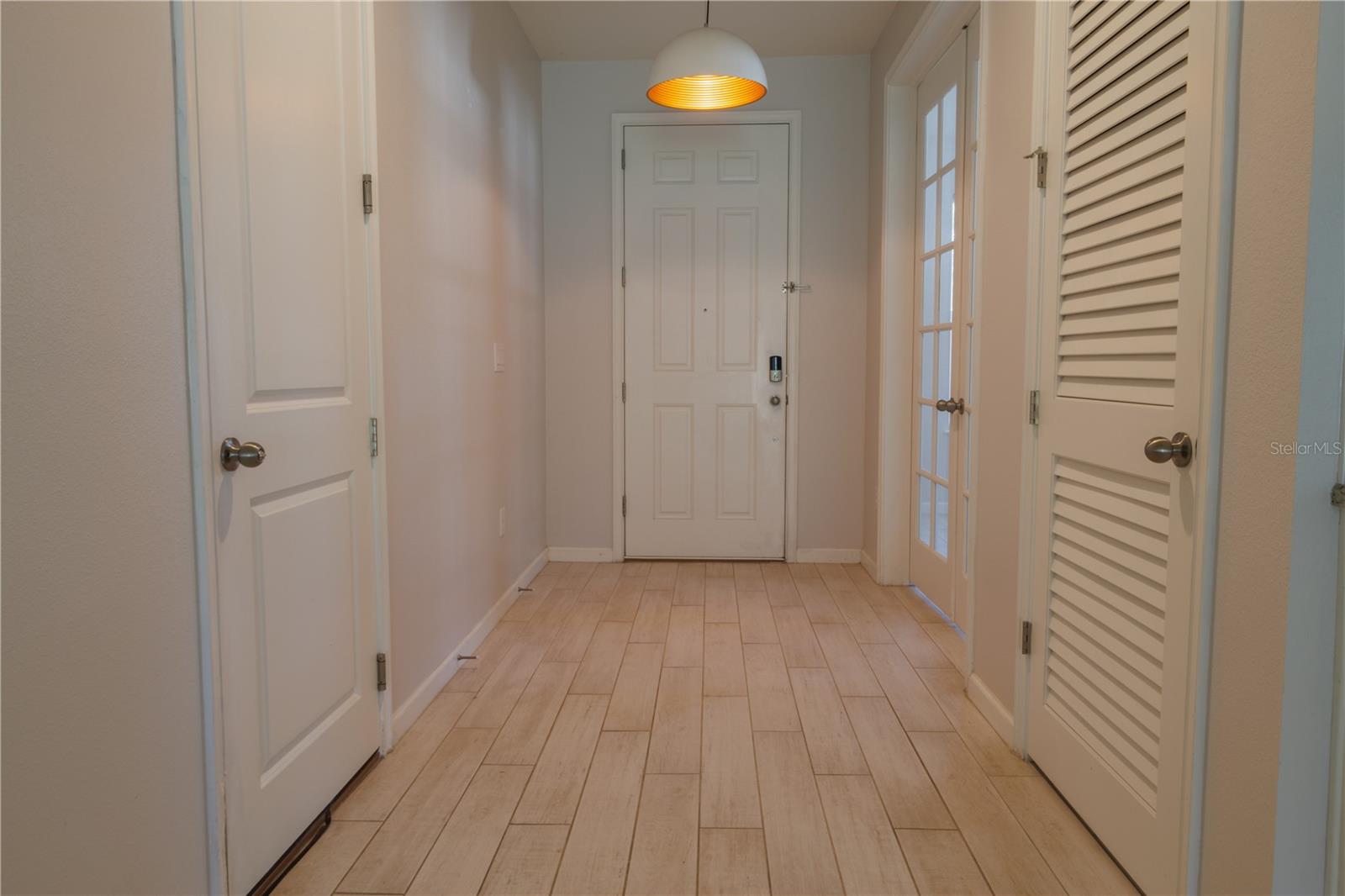 Entry Hallway - 1011 BETTER DAYS PL, VALRICO
