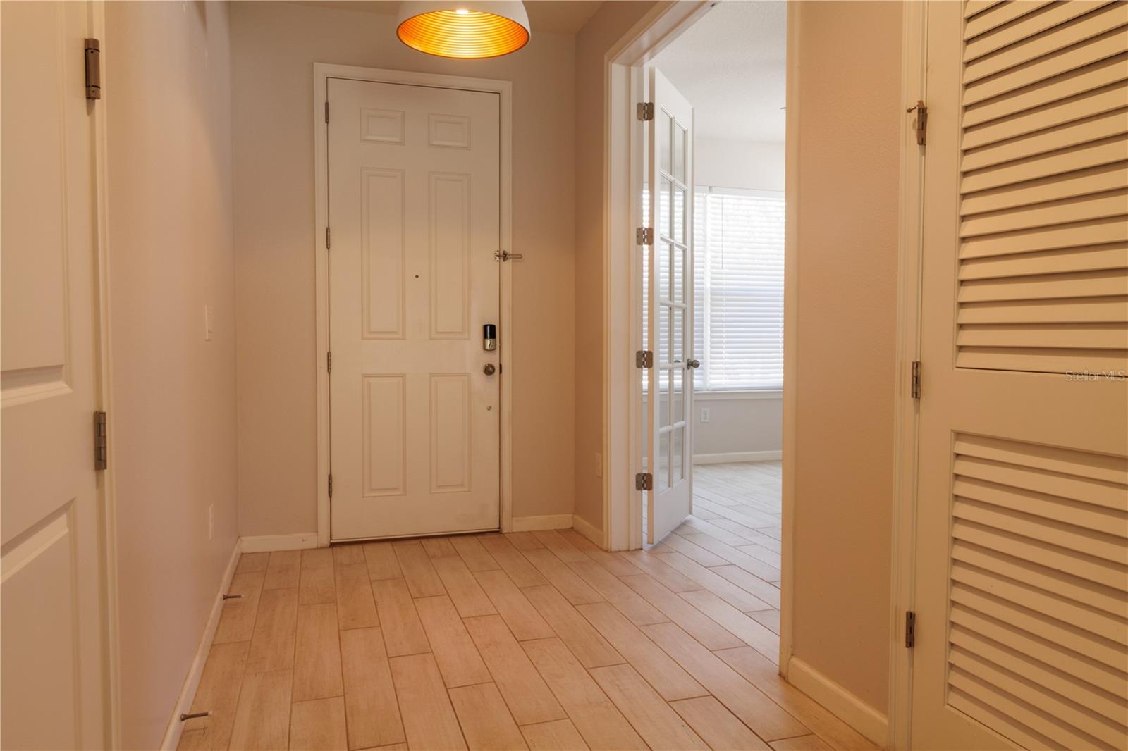 Entry Hallway - 1011 BETTER DAYS PL, VALRICO