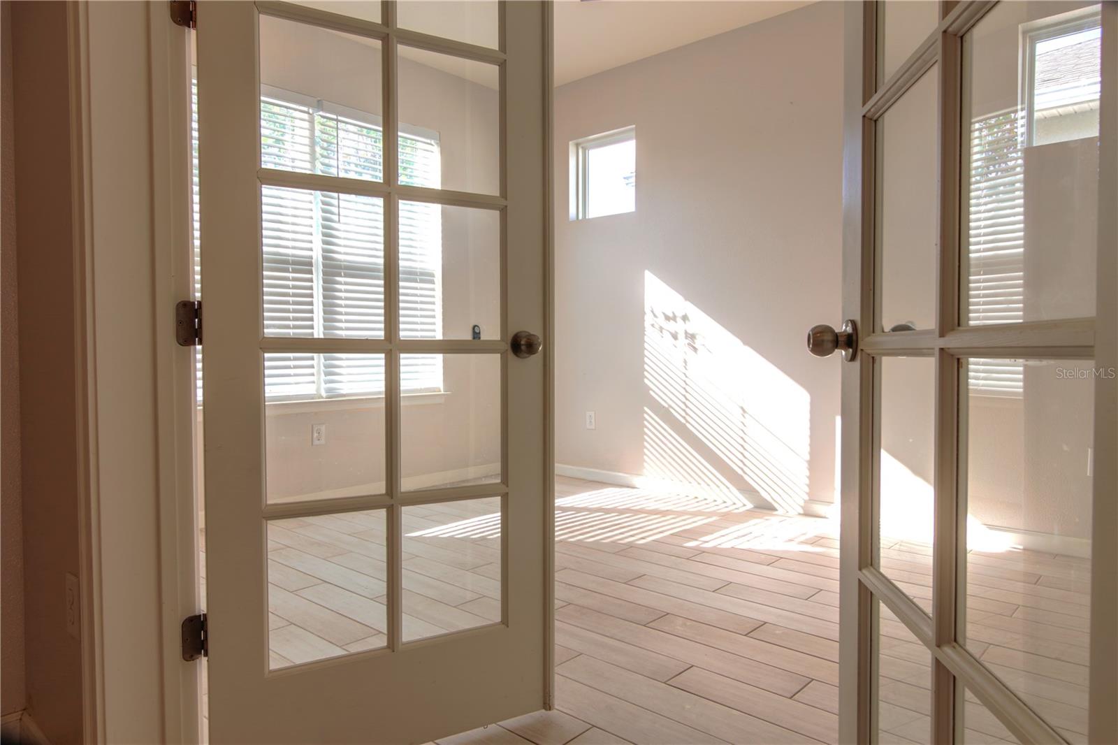 Flex room / den - 1011 BETTER DAYS PL, VALRICO