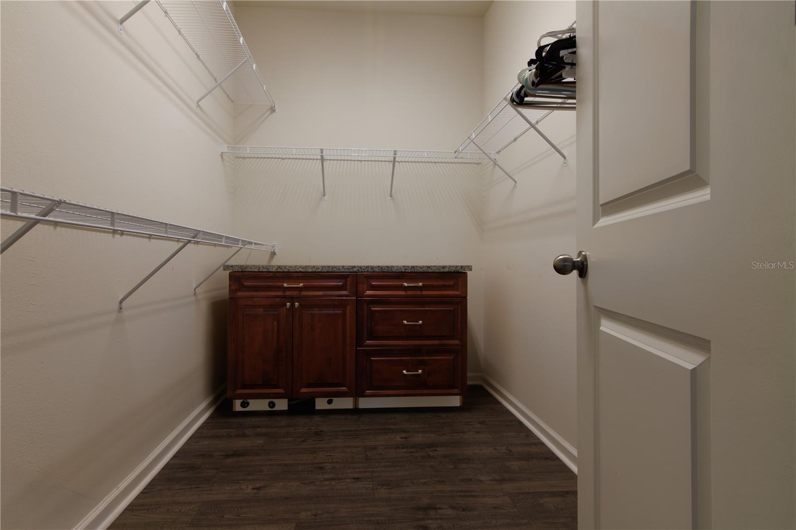 One of two master walk in closets - 1011 BETTER DAYS PL, VALRICO