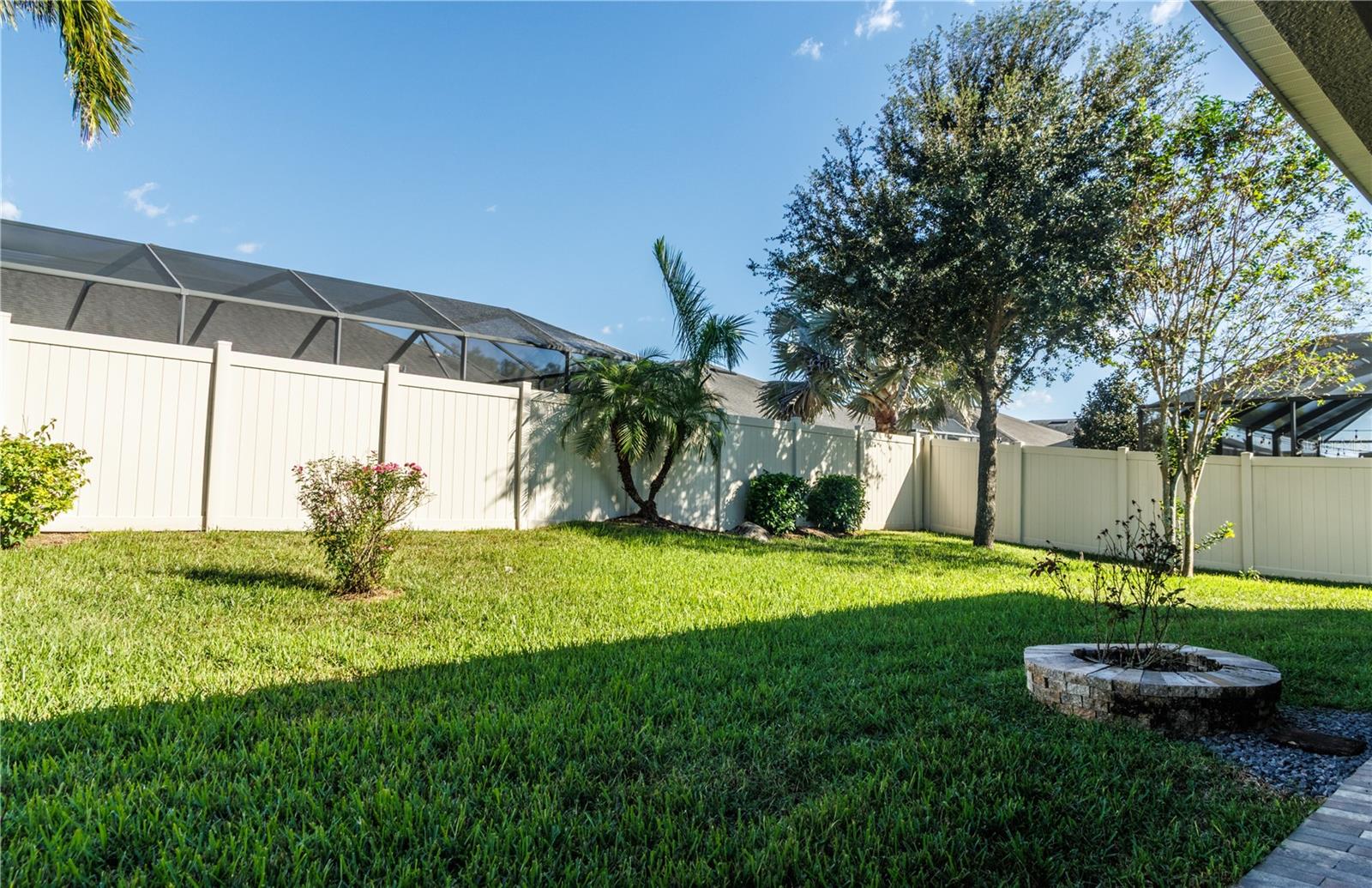 Backyard - 1011 BETTER DAYS PL, VALRICO