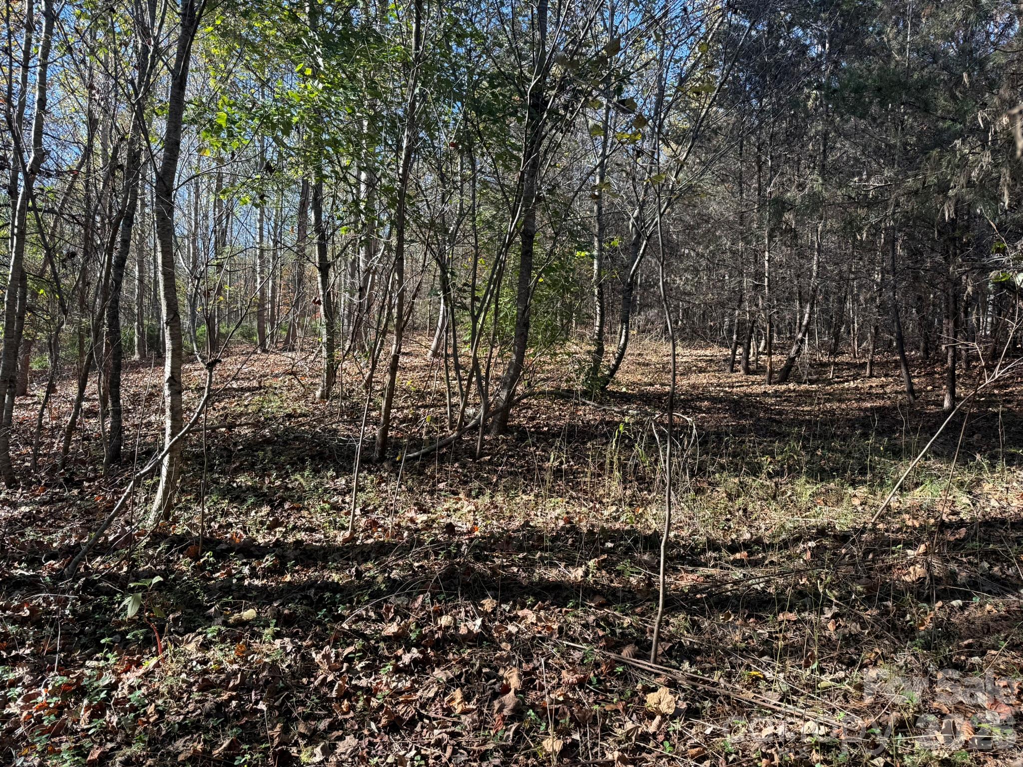 Acreage at V/L Wild Ridges Lane, Marion, photo 7 of 34
