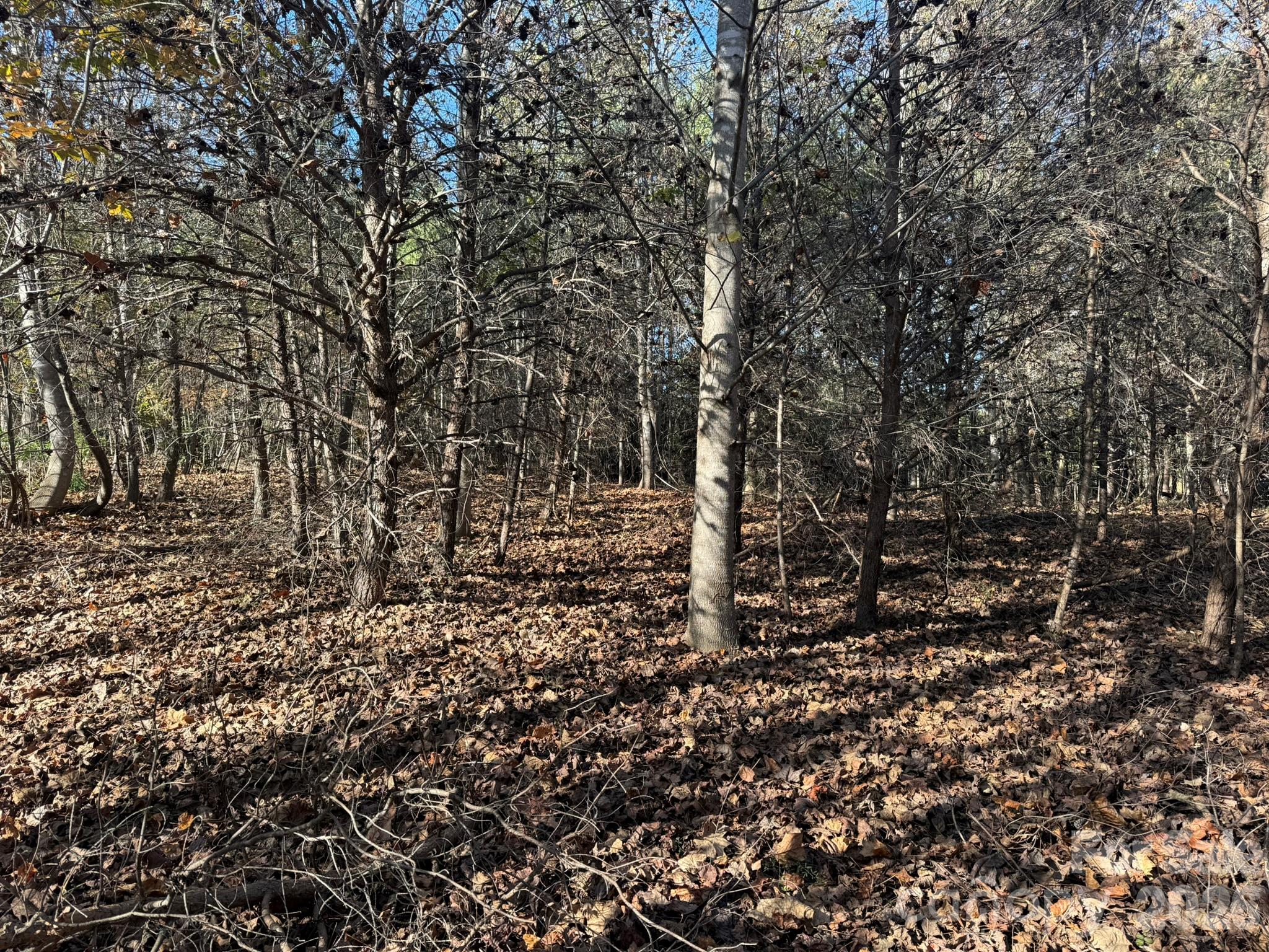 Acreage at V/L Wild Ridges Lane, Marion, photo 9 of 34