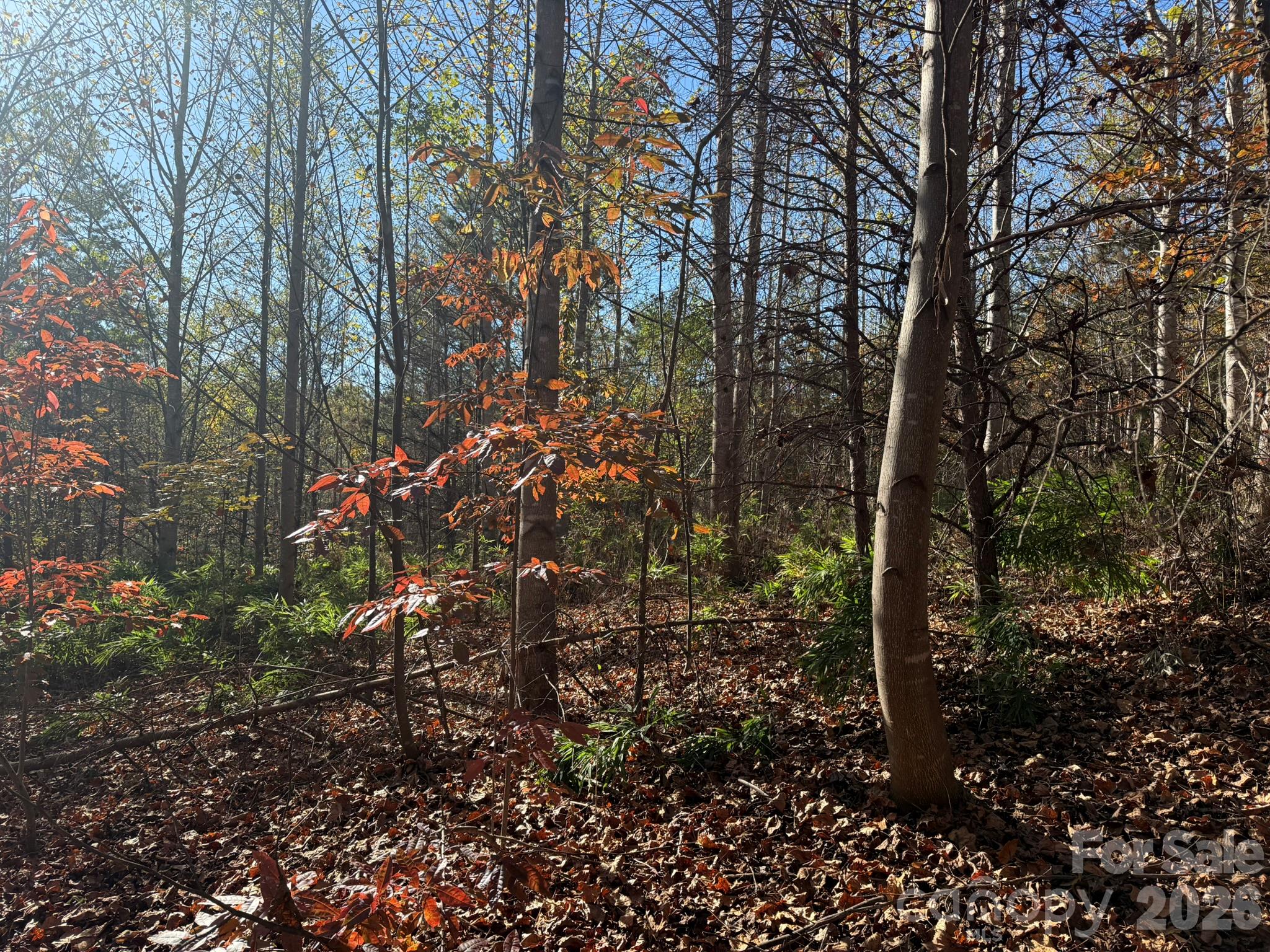 Acreage at V/L Wild Ridges Lane, Marion, photo 10 of 34