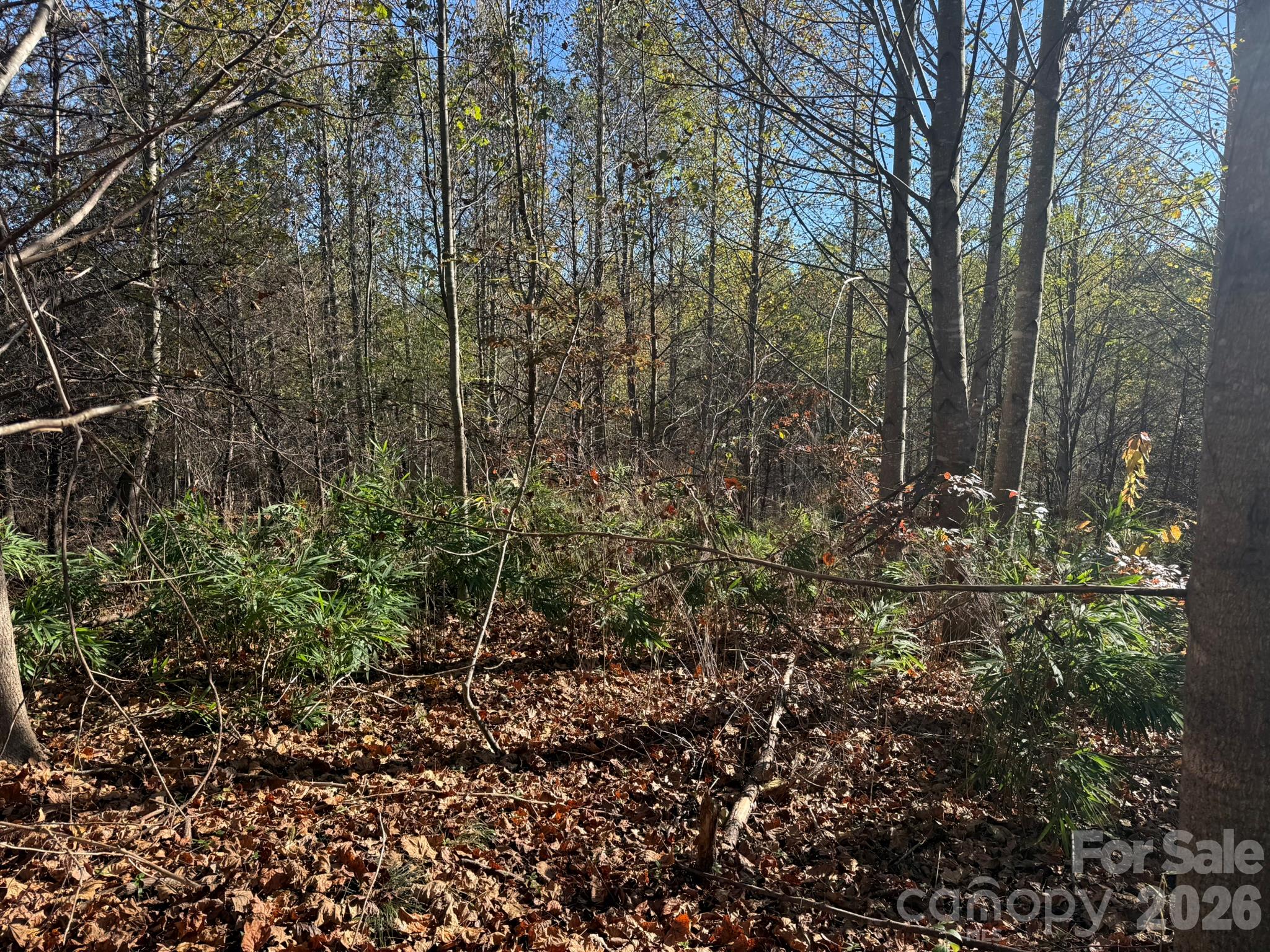 Acreage at V/L Wild Ridges Lane, Marion, photo 11 of 34