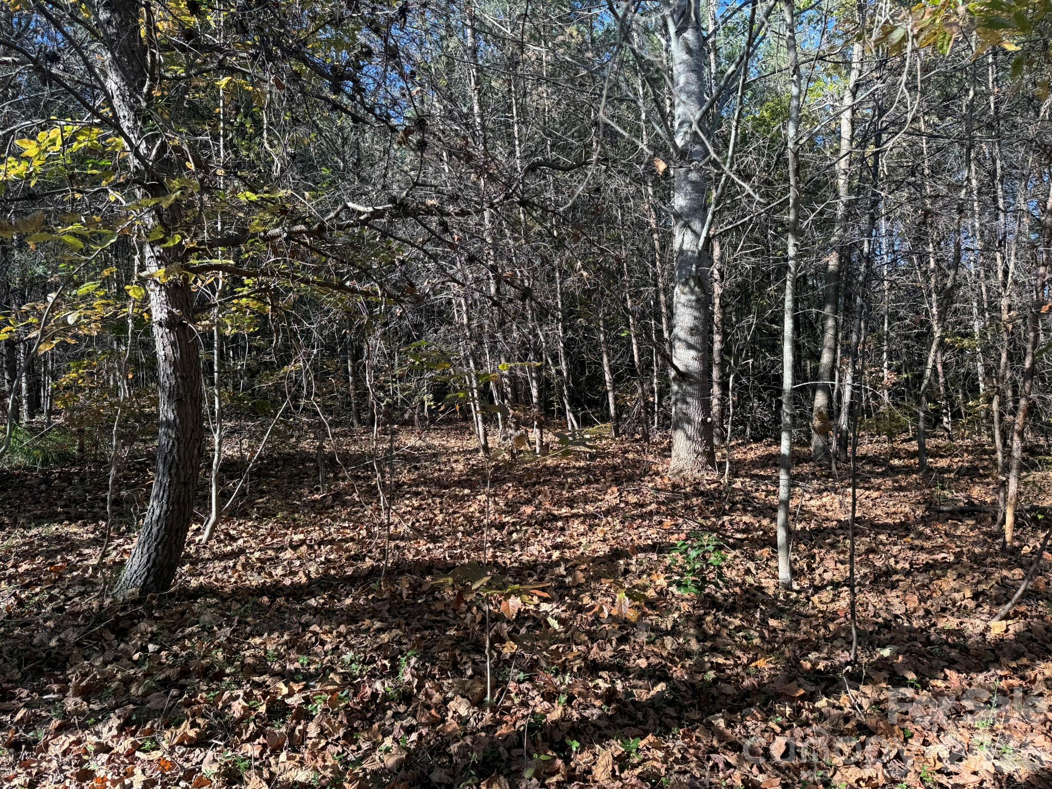 Acreage at V/L Wild Ridges Lane, Marion, photo 12 of 34