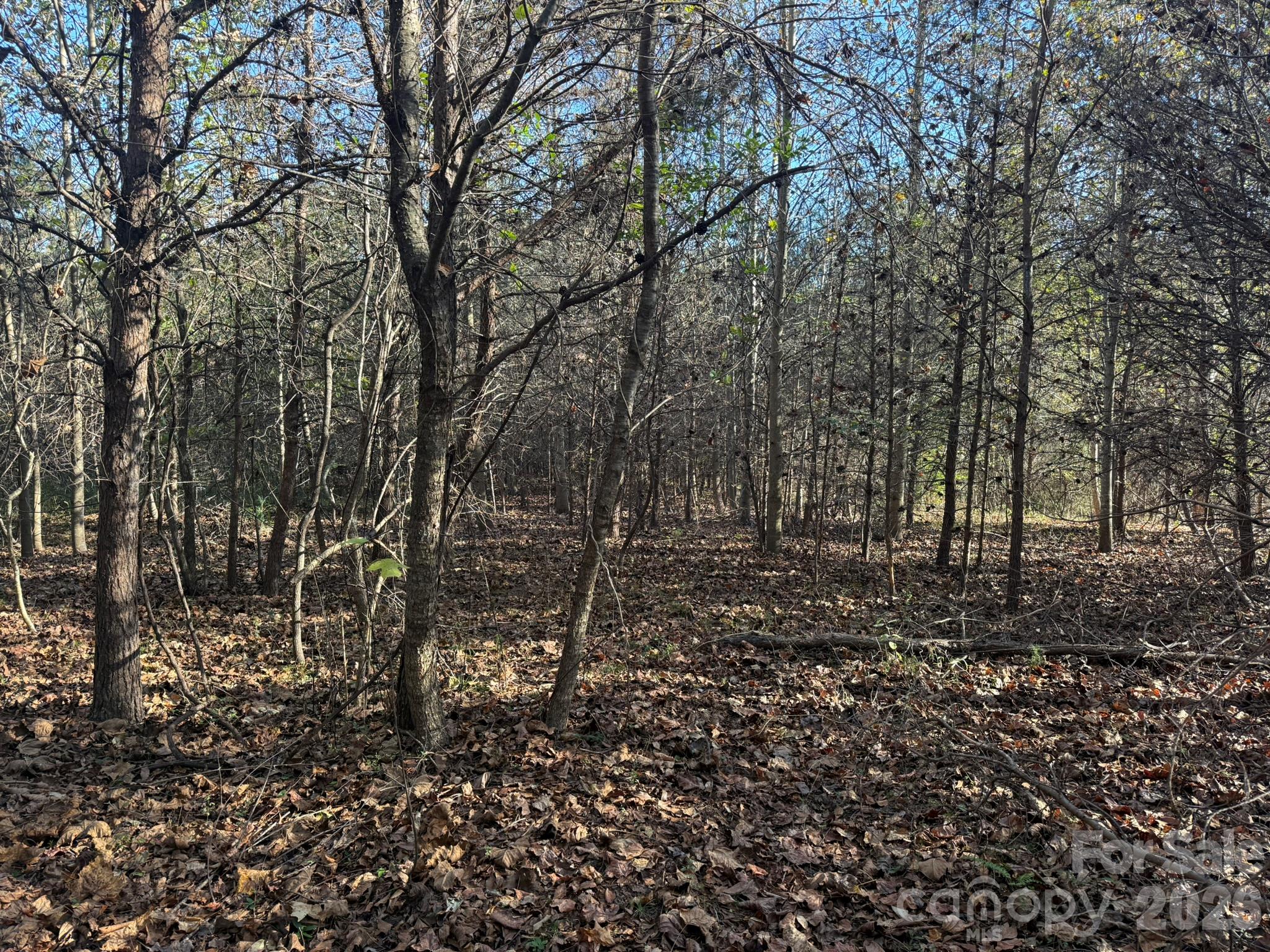 Acreage at V/L Wild Ridges Lane, Marion, photo 16 of 34
