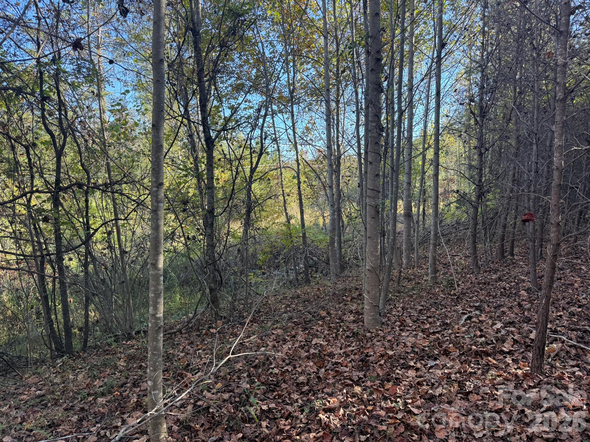 Looking into power r/w - V/L Wild Ridges Lane, Marion