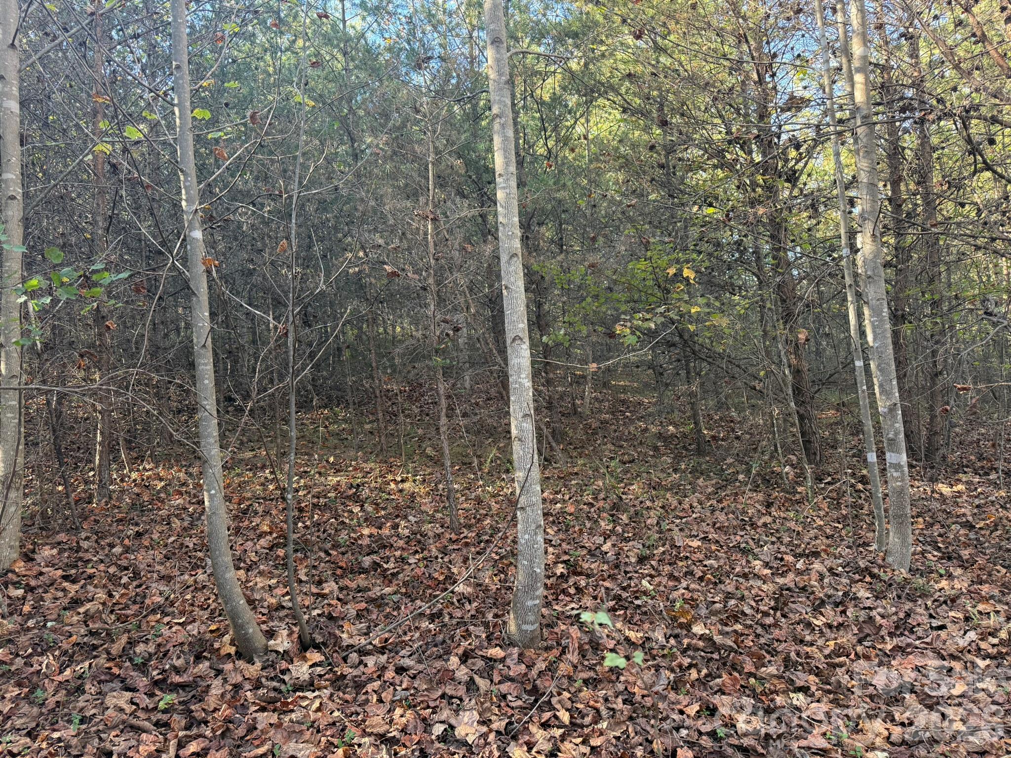 Acreage at V/L Wild Ridges Lane, Marion, photo 21 of 34