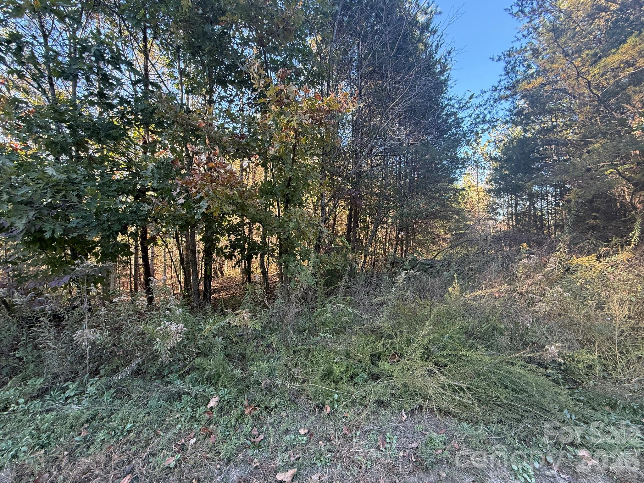 Views from Wild Ridges Lane - V/L Wild Ridges Lane, Marion