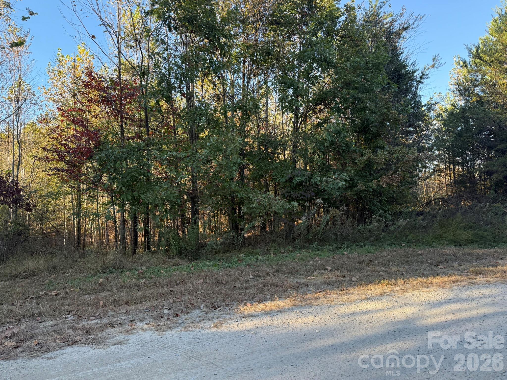View from Wild Ridges Lane - V/L Wild Ridges Lane, Marion