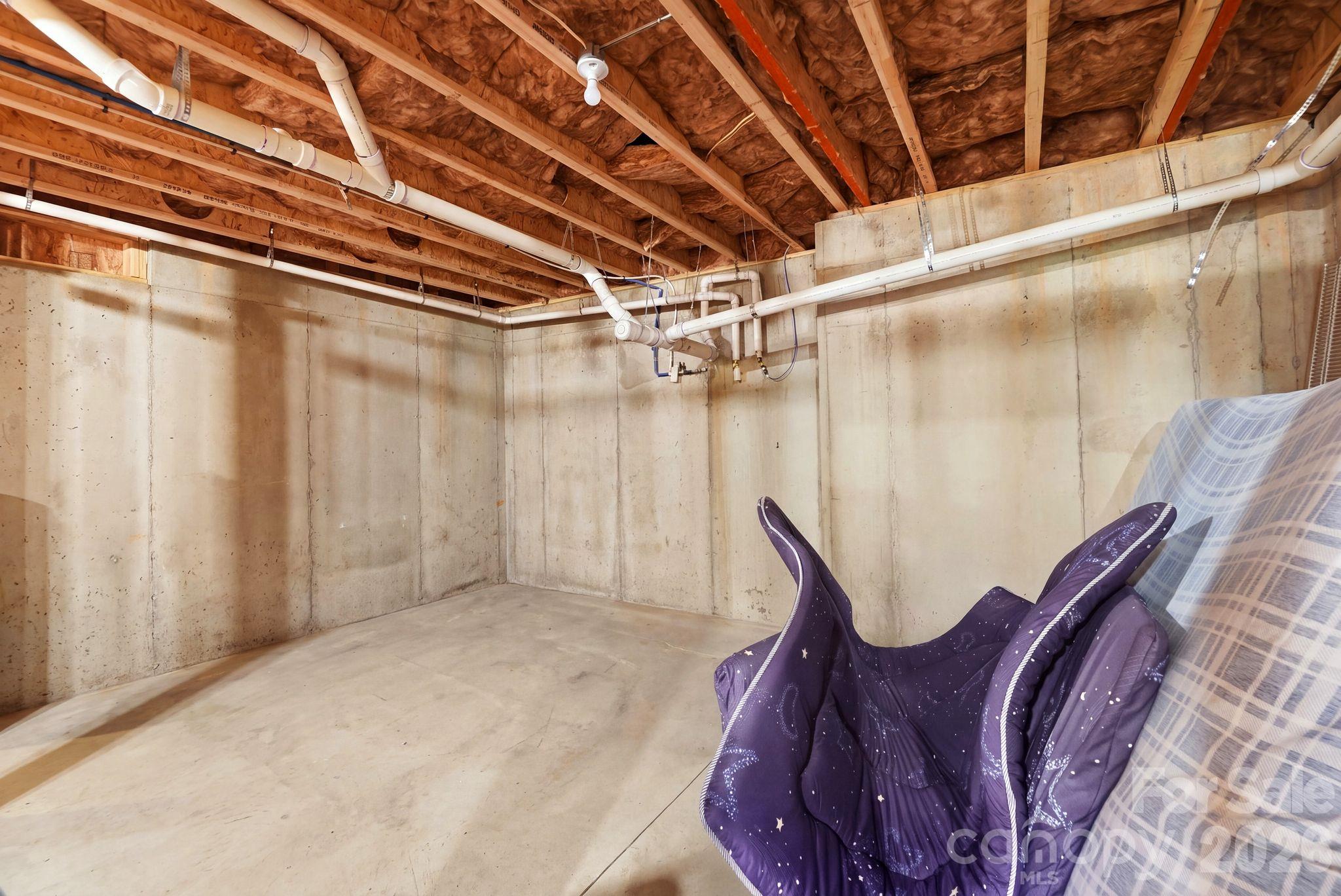Unfinished basement area - 4603 Monument Valley Drive, Indian Land