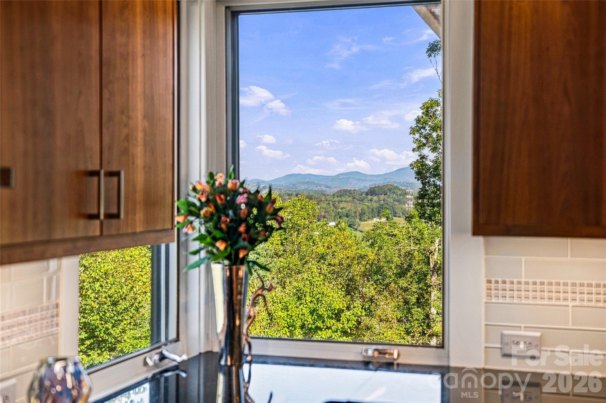 Beautiful Mountain Views from the Kitchen - 22 Quartz Trail, Hendersonville