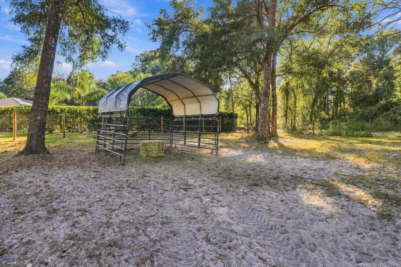 Single Family Residence at 560 NW 117TH CT, OCALA, photo 36 of 51