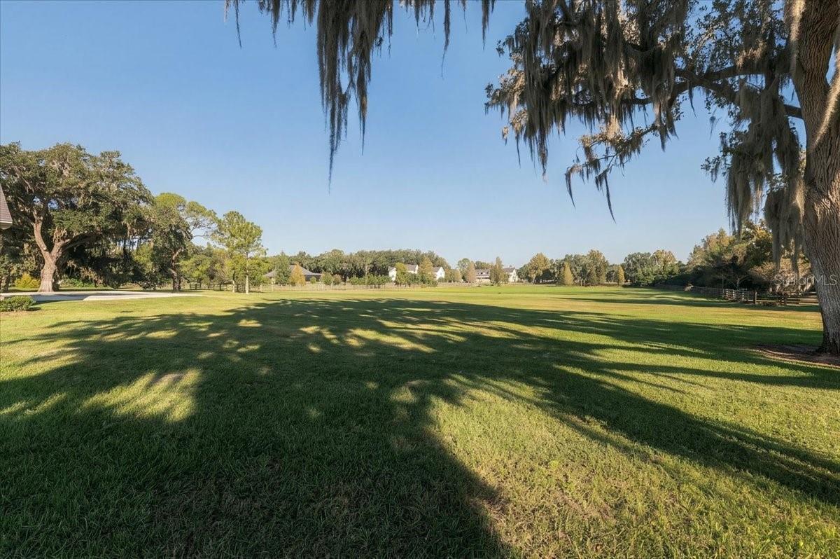 Rear Yard - 888 TWIN OAKS LN, WINTER HAVEN