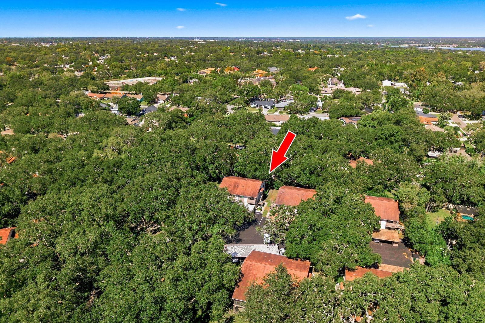 Condominium at 515 MISTLETOE CT #B, SAFETY HARBOR, photo 28 of 32