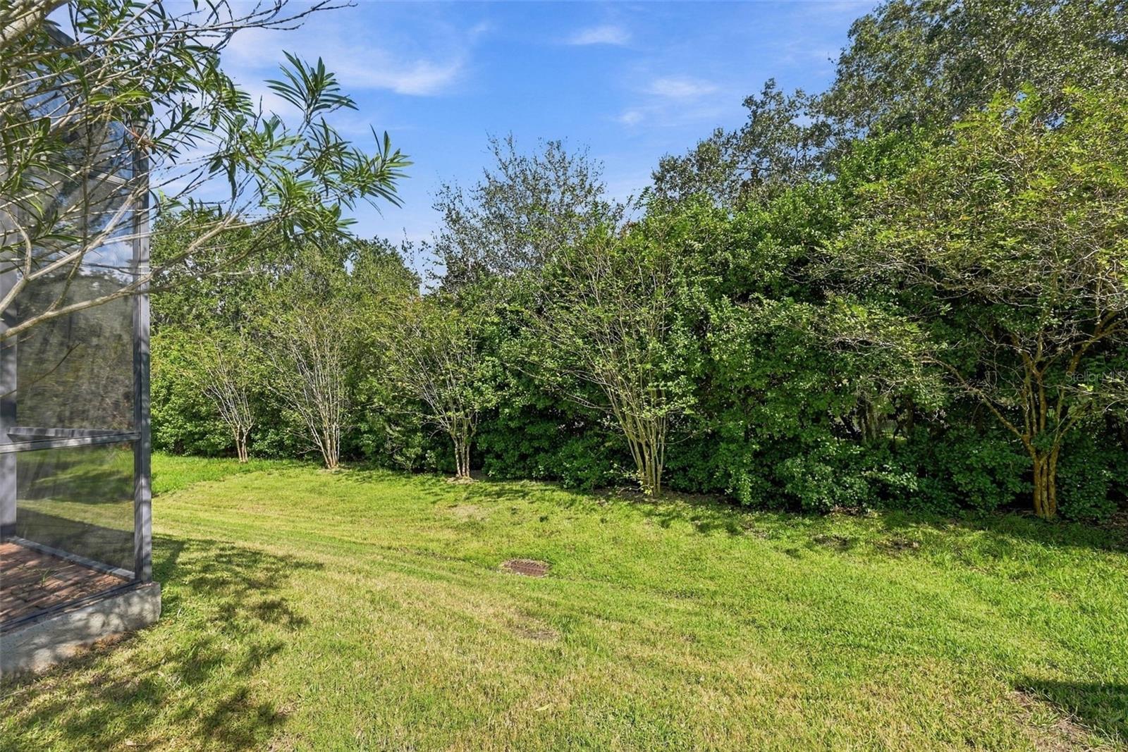 Backyard - 2139 TILLMAN AVE, WINTER GARDEN