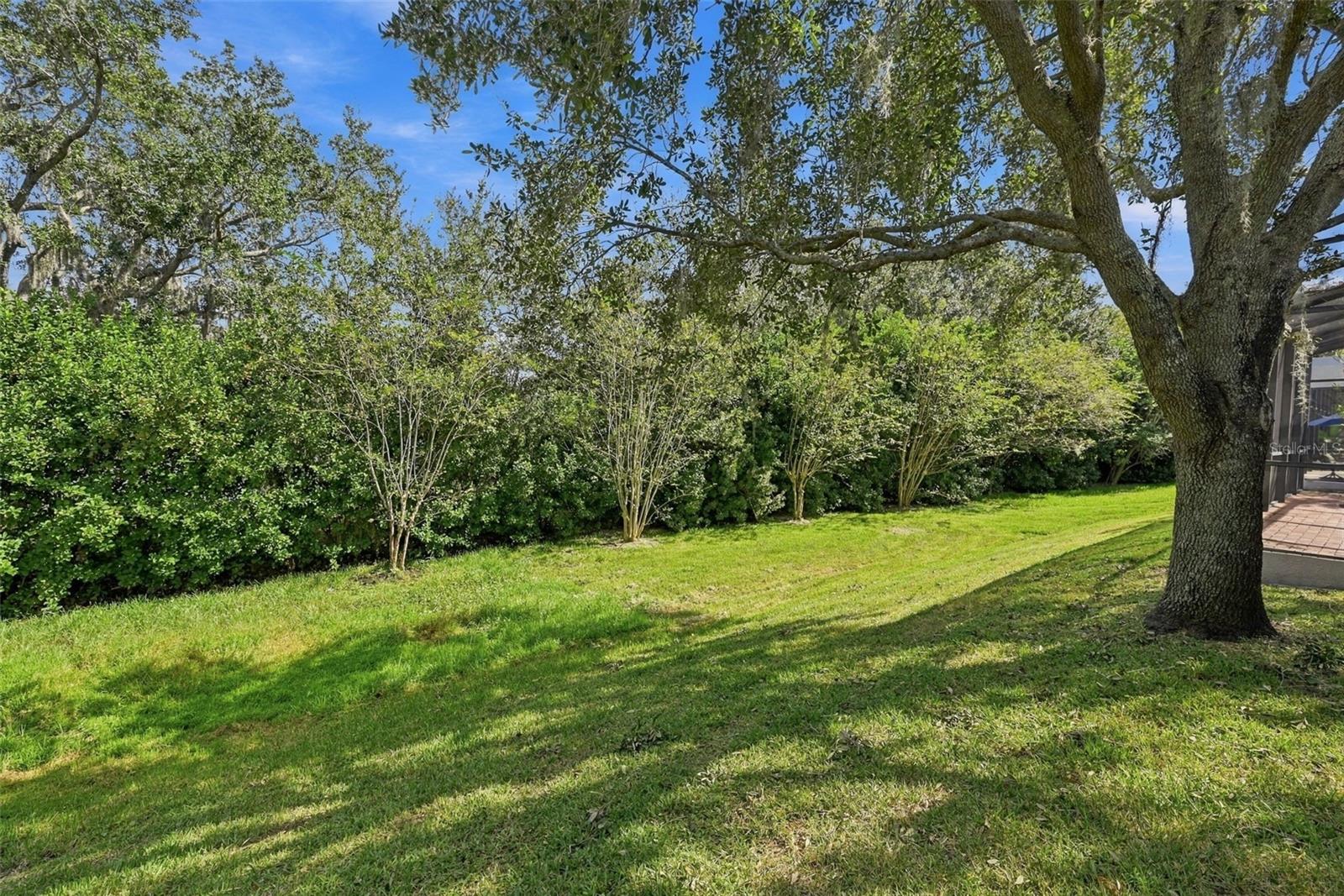 Backyard - 2139 TILLMAN AVE, WINTER GARDEN